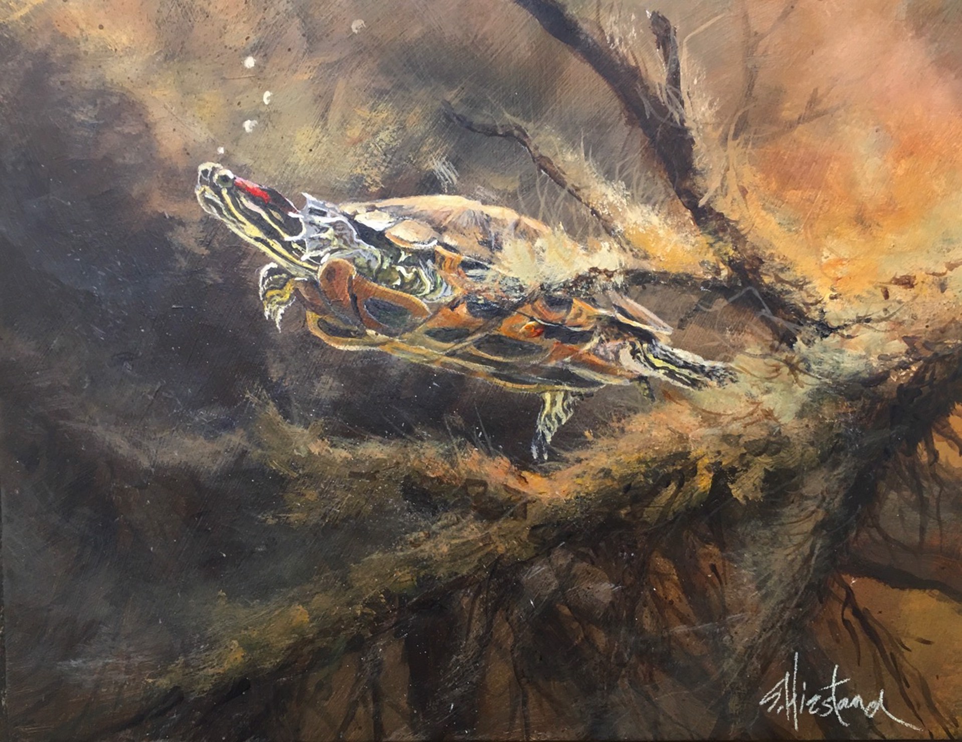 Red Ear Slider - SOLD by Scott Hiestand