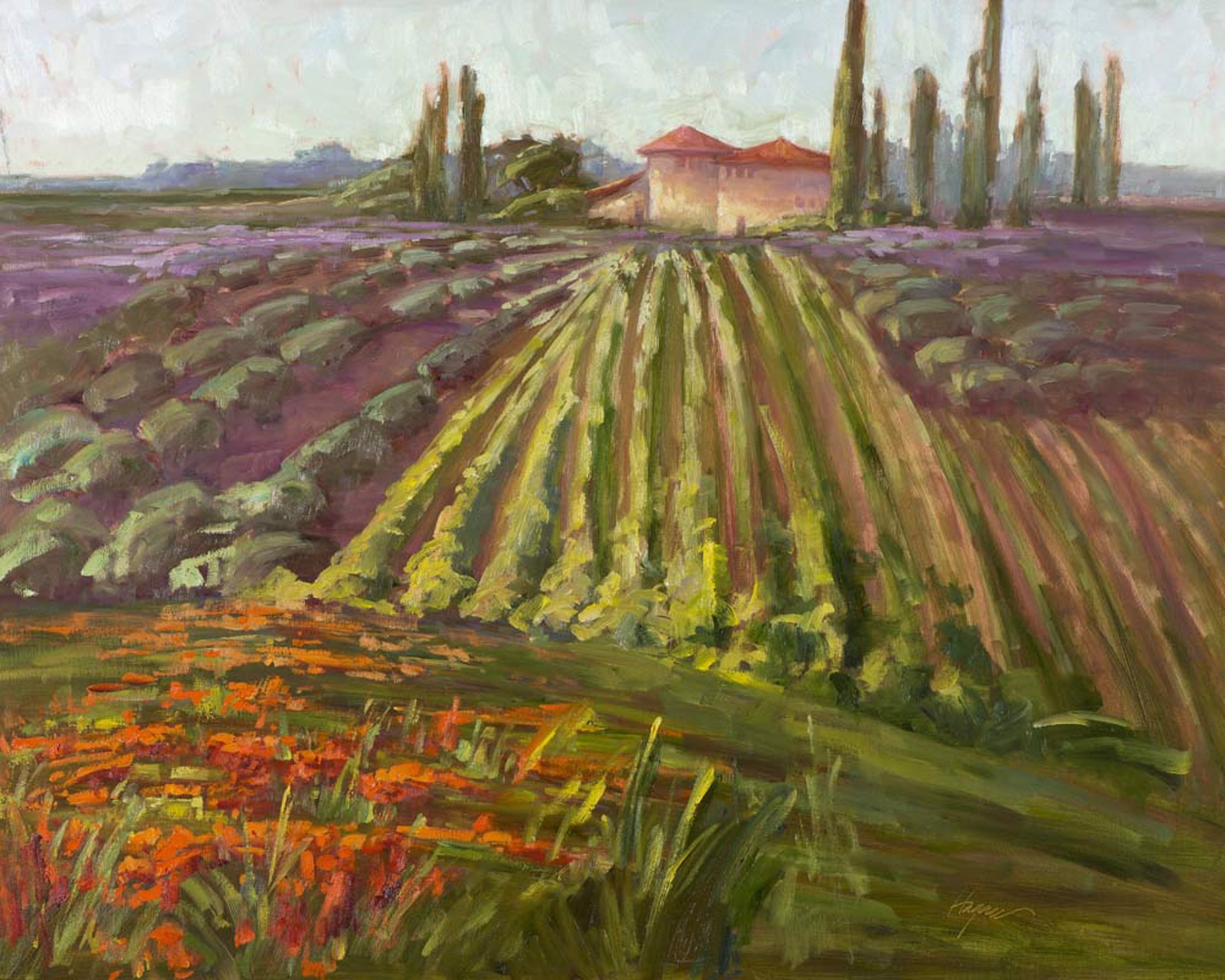 Tuscany, The Contessa's Farm by Karen Hewitt Hagan