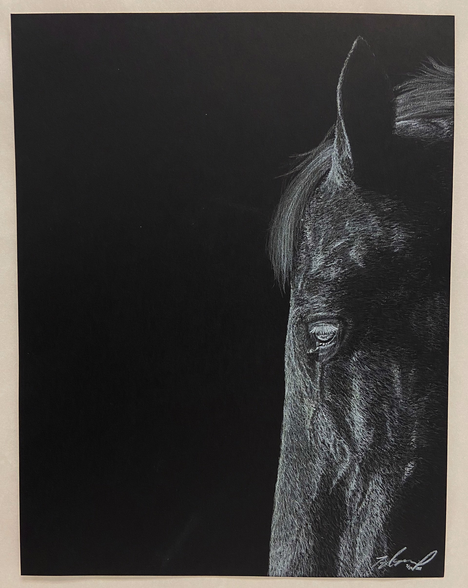 Horse in Light from Darkness #1 by Taylor McGill