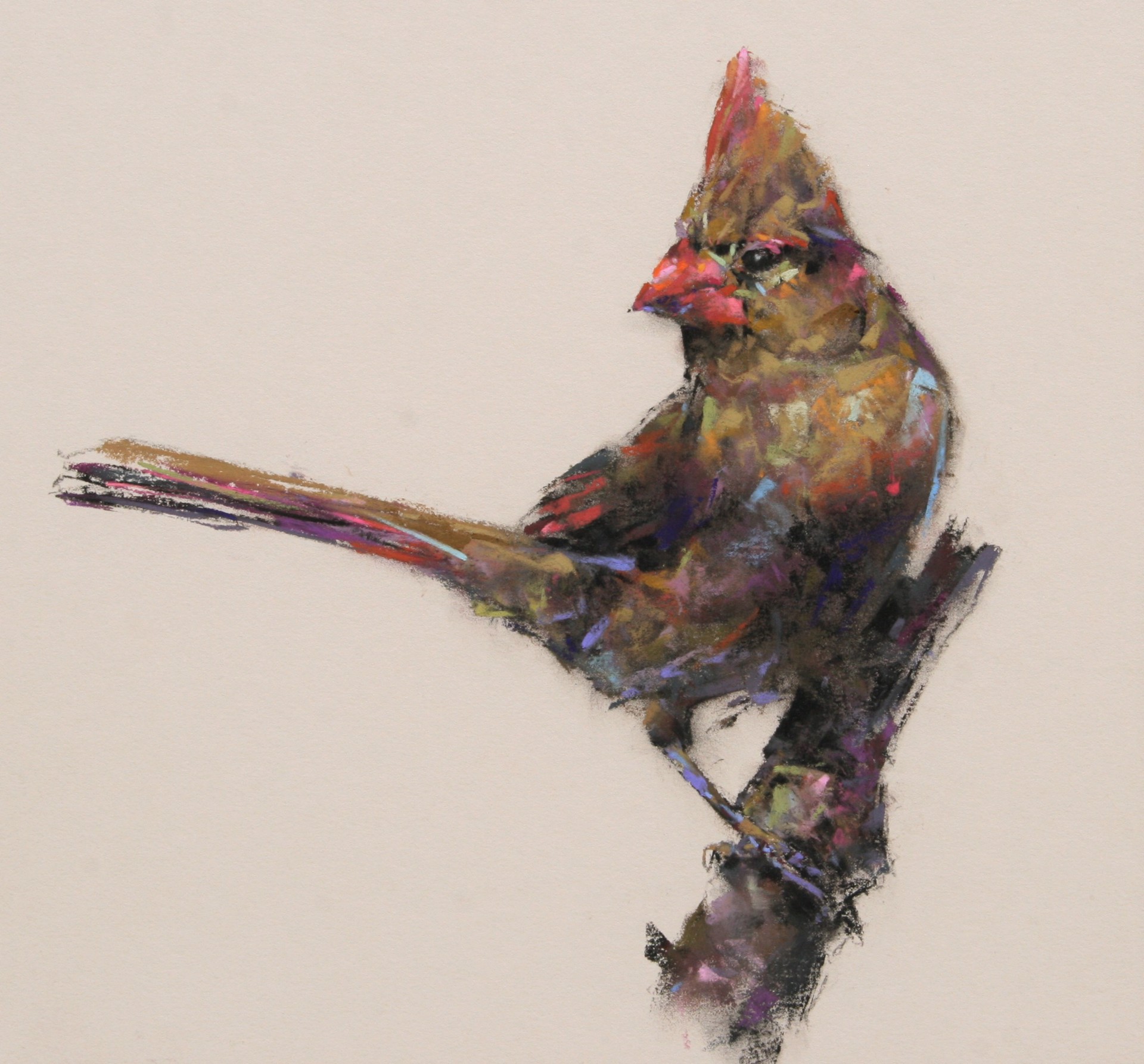 An Eye on the Artist by Terry Donahue