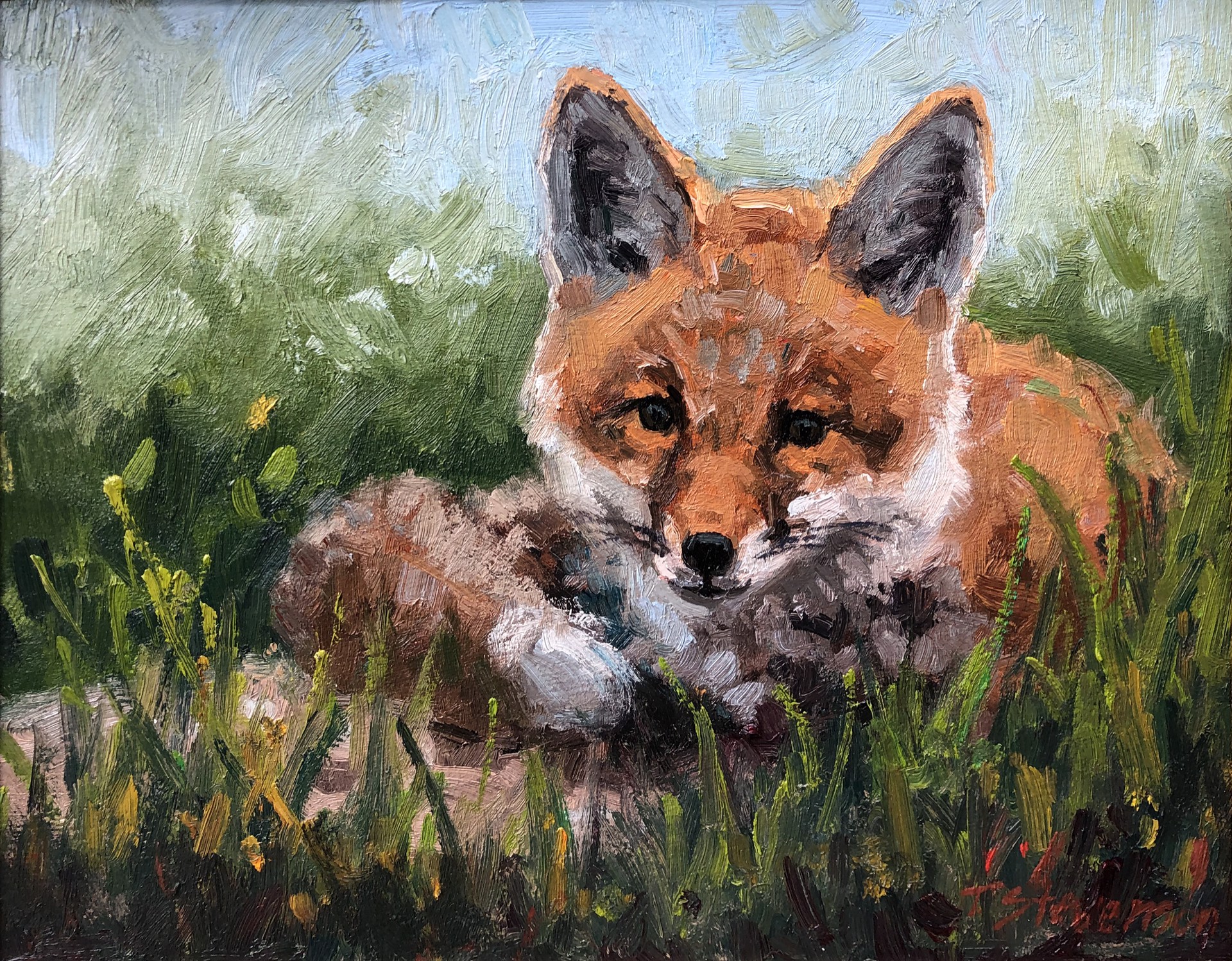 June Fox by Tiffany Stevenson