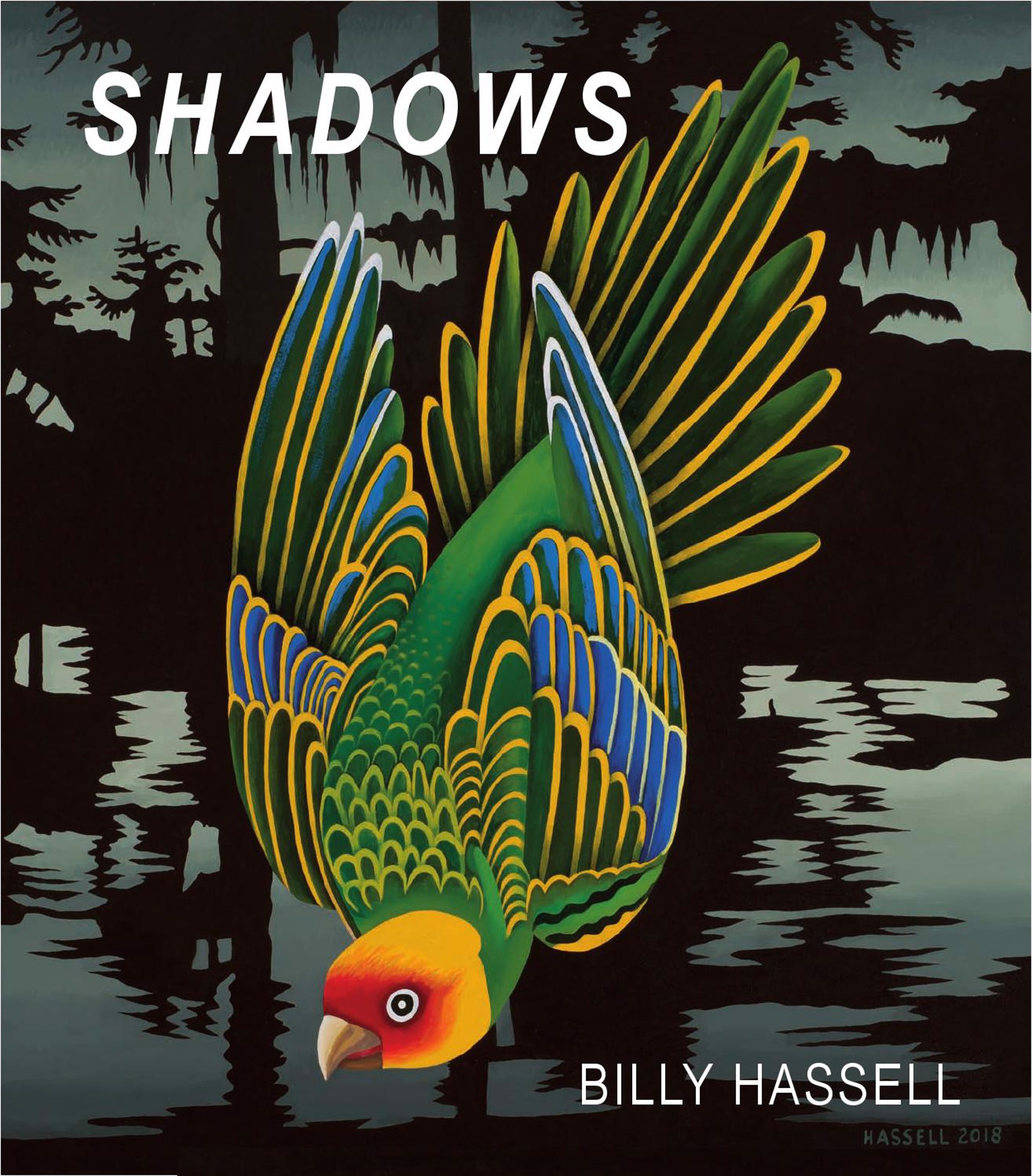 Billy Hassell: Shadows Catalogue by Billy Hassell