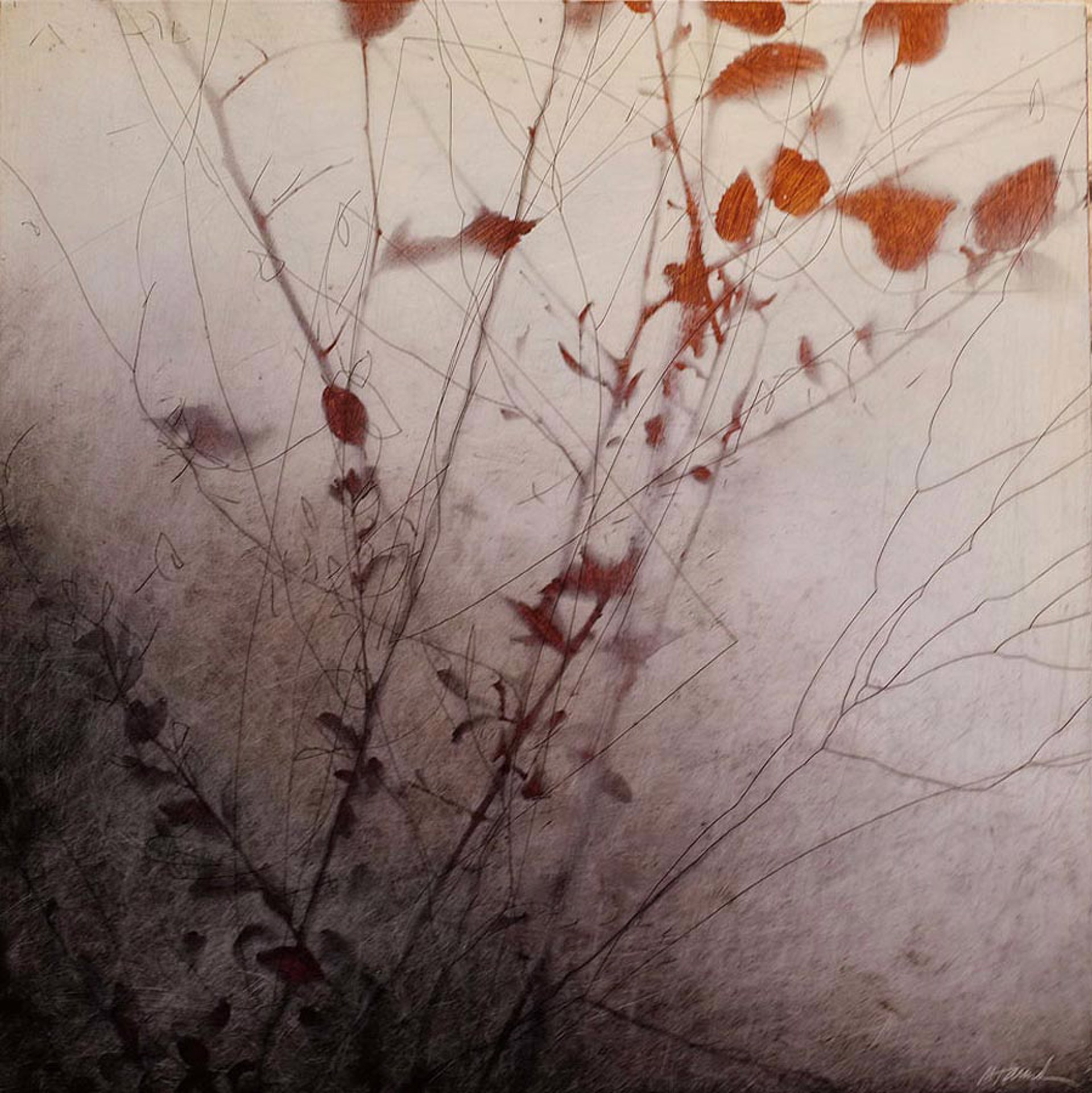 Lyrical I by Marci Crawford Harnden