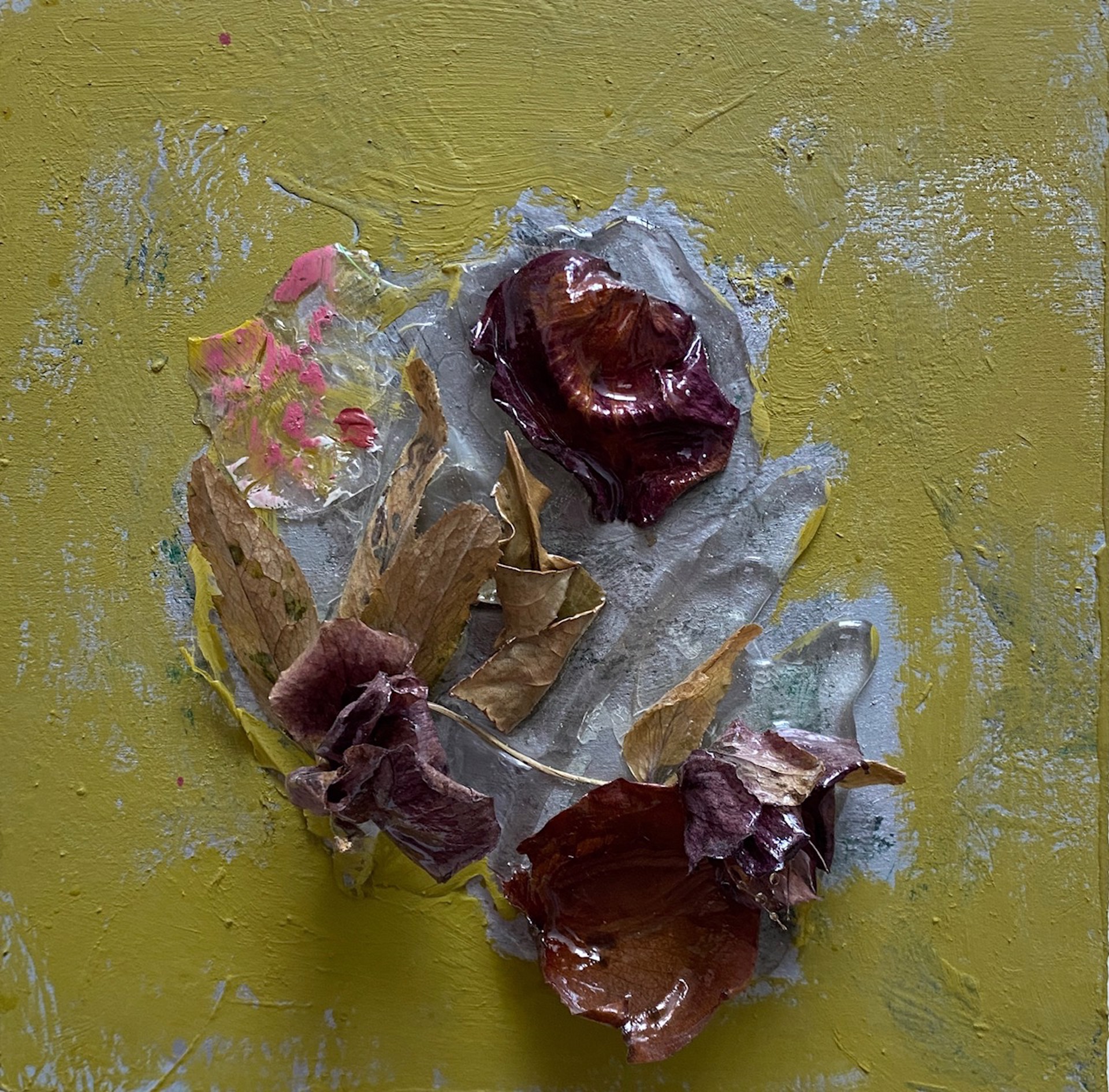 Lenten Rose by Brenda Cirioni