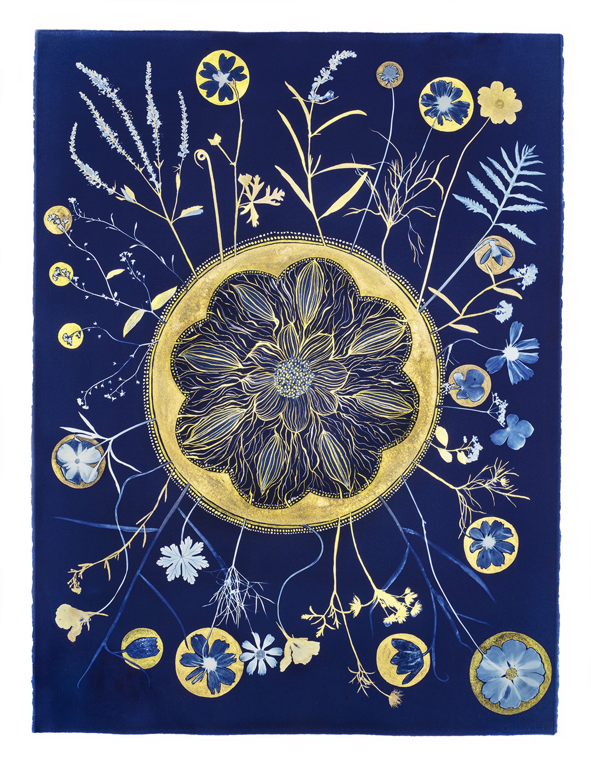 Cyanotype Painting (Gold Flora Full Circle) by Julia Whitney Barnes
