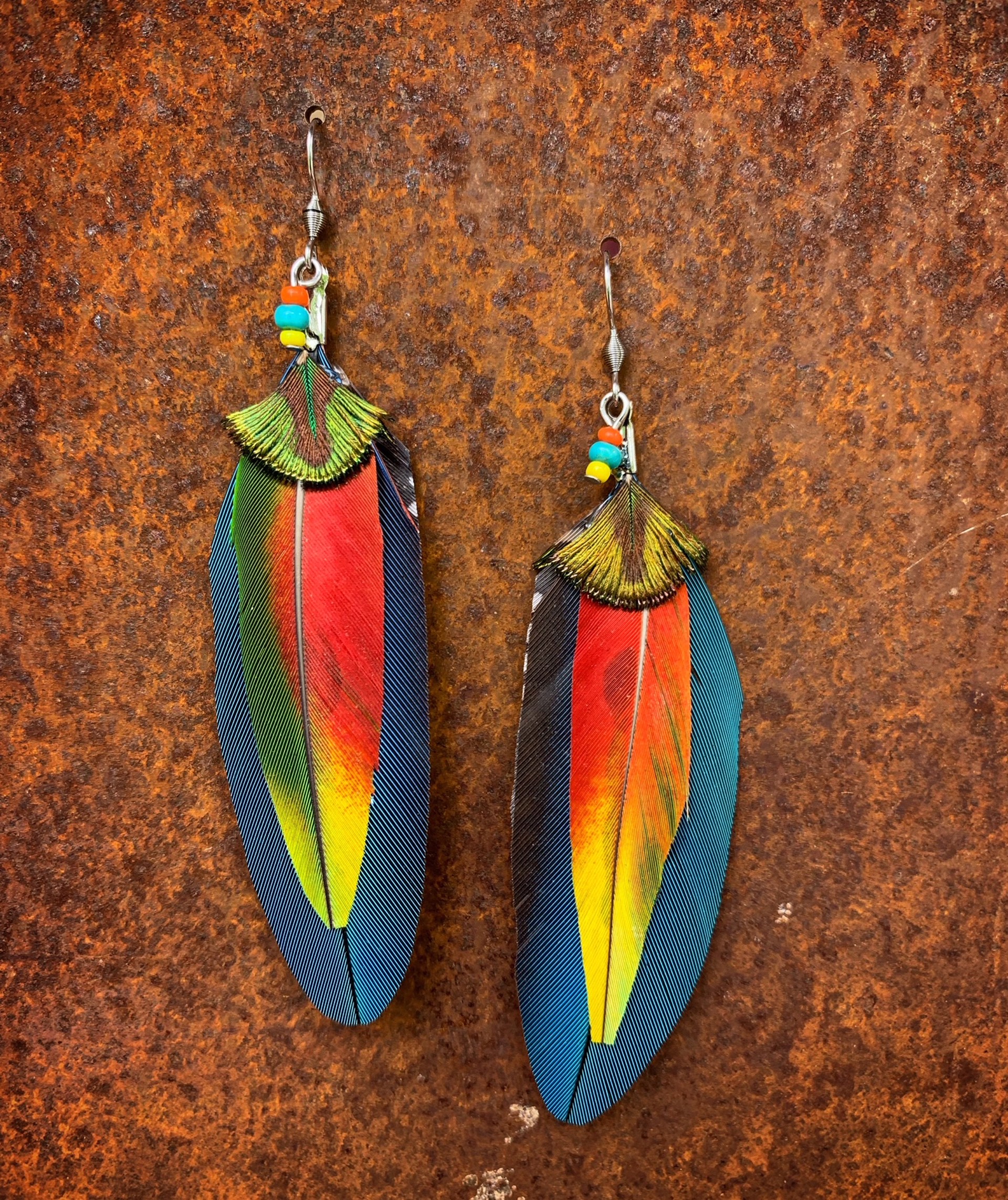 K833 Ethically Sourced Parrot Earrings by Kelly Ormsby