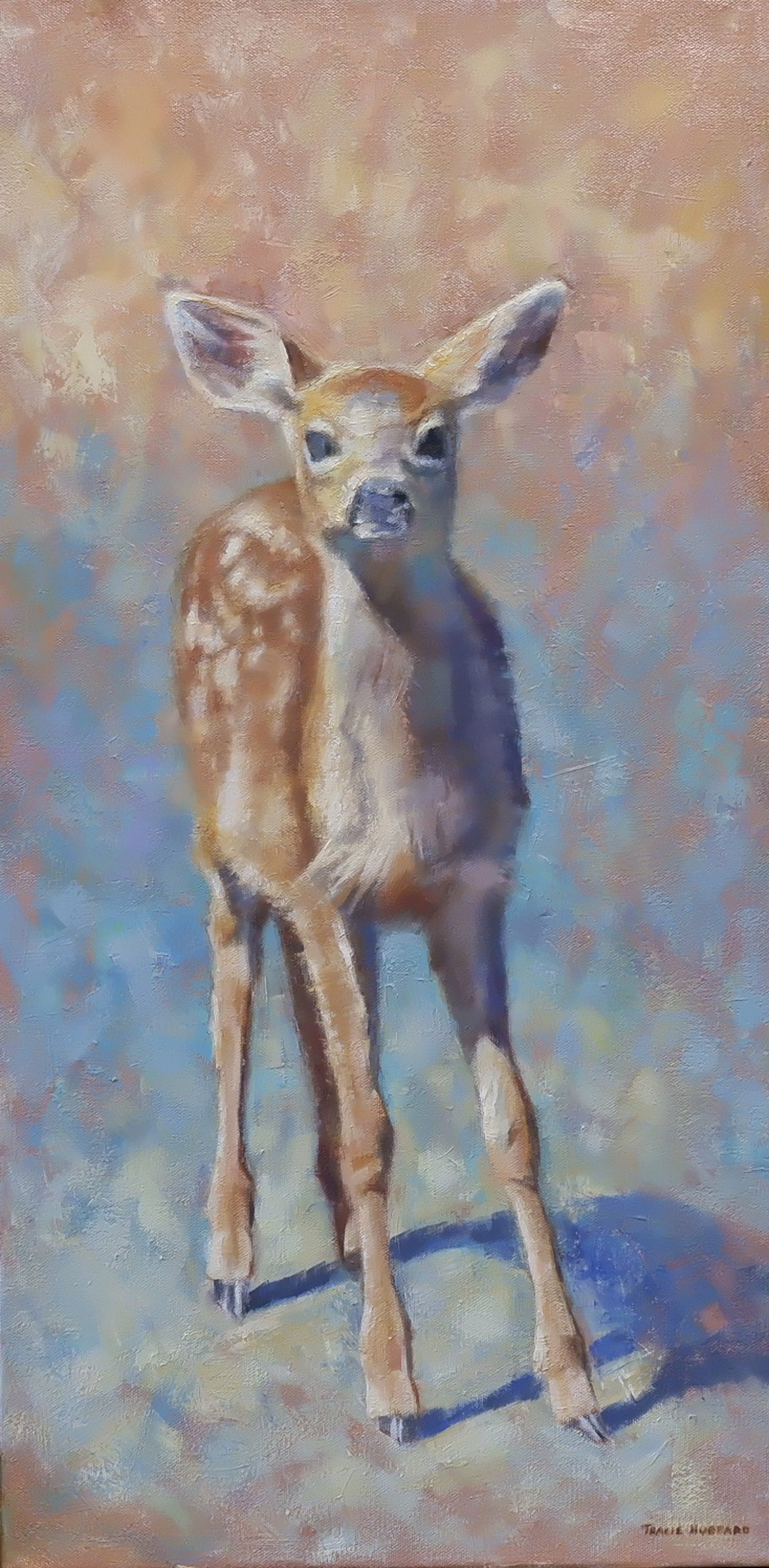 Curious Fawn by Tracie Hubbard