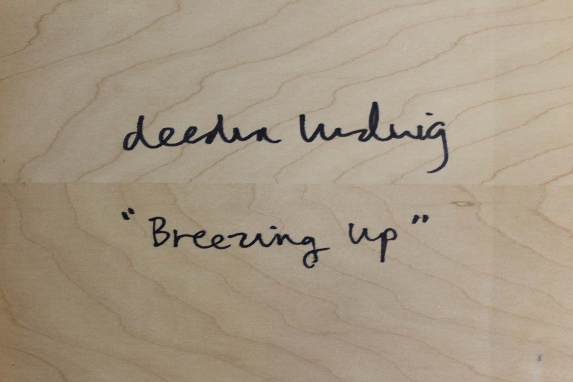 Breezing Up by Deedra Ludwig
