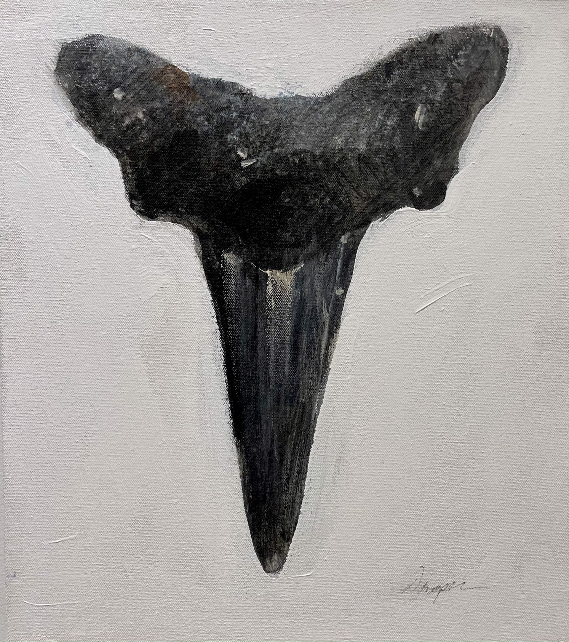 Shark Tooth no. 10 by Jim Draper