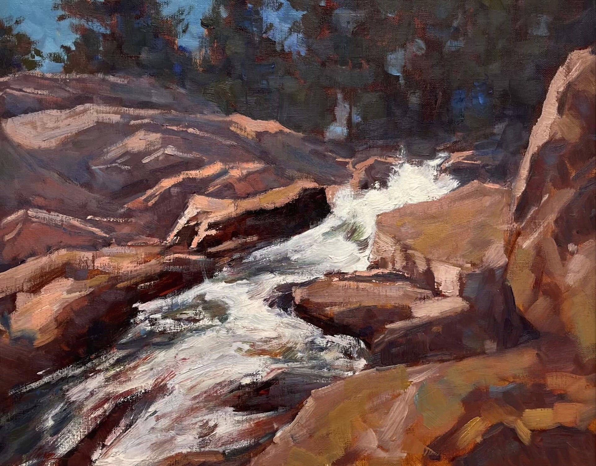 Horseshoe Falls by Lorenzo Chavez