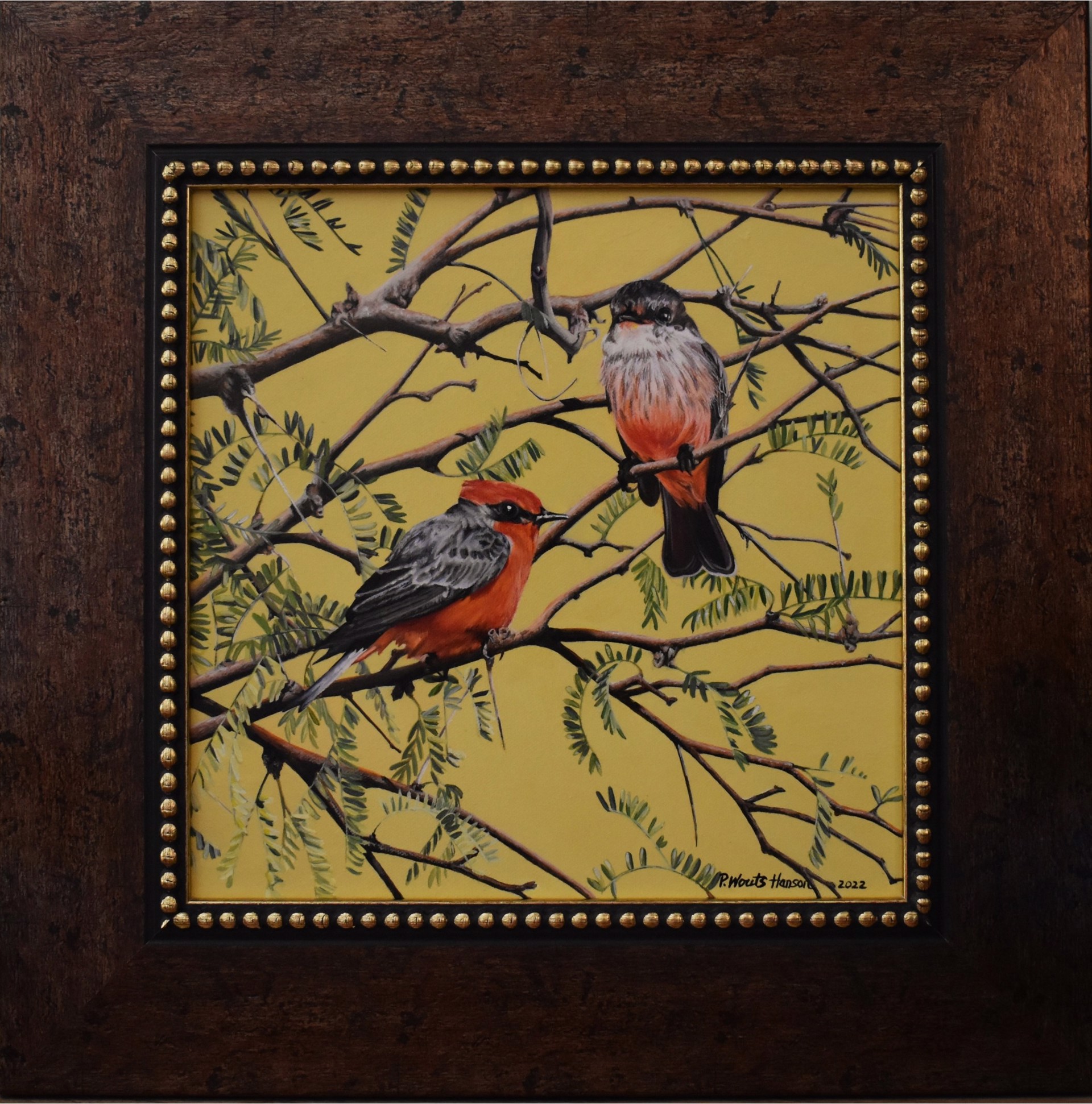Early Spring Vermillion Flycatchers by Paula Wouts-Hanson