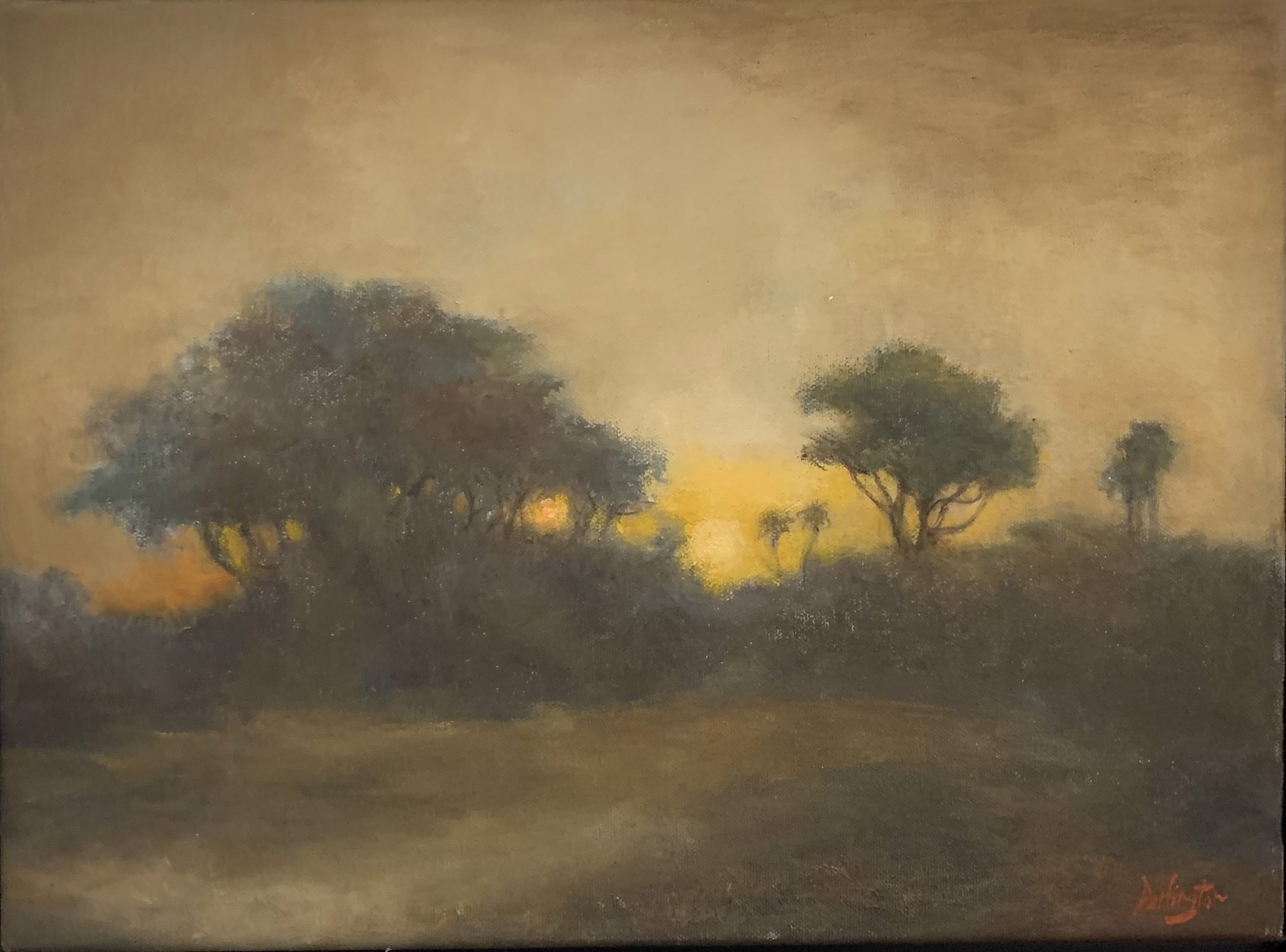 Cedars at Sunset by Jim Darlington