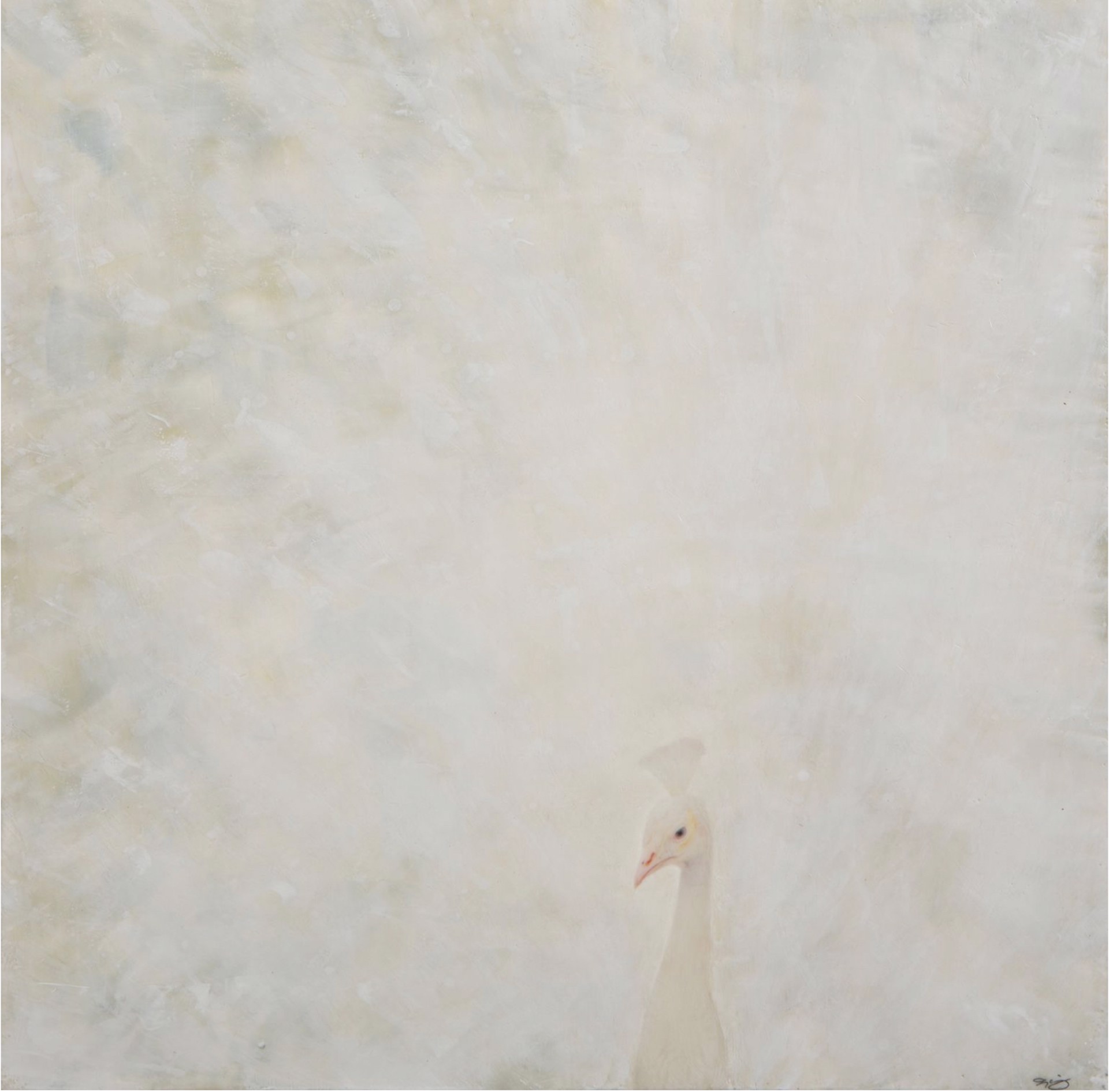 White Light by Norah Levine