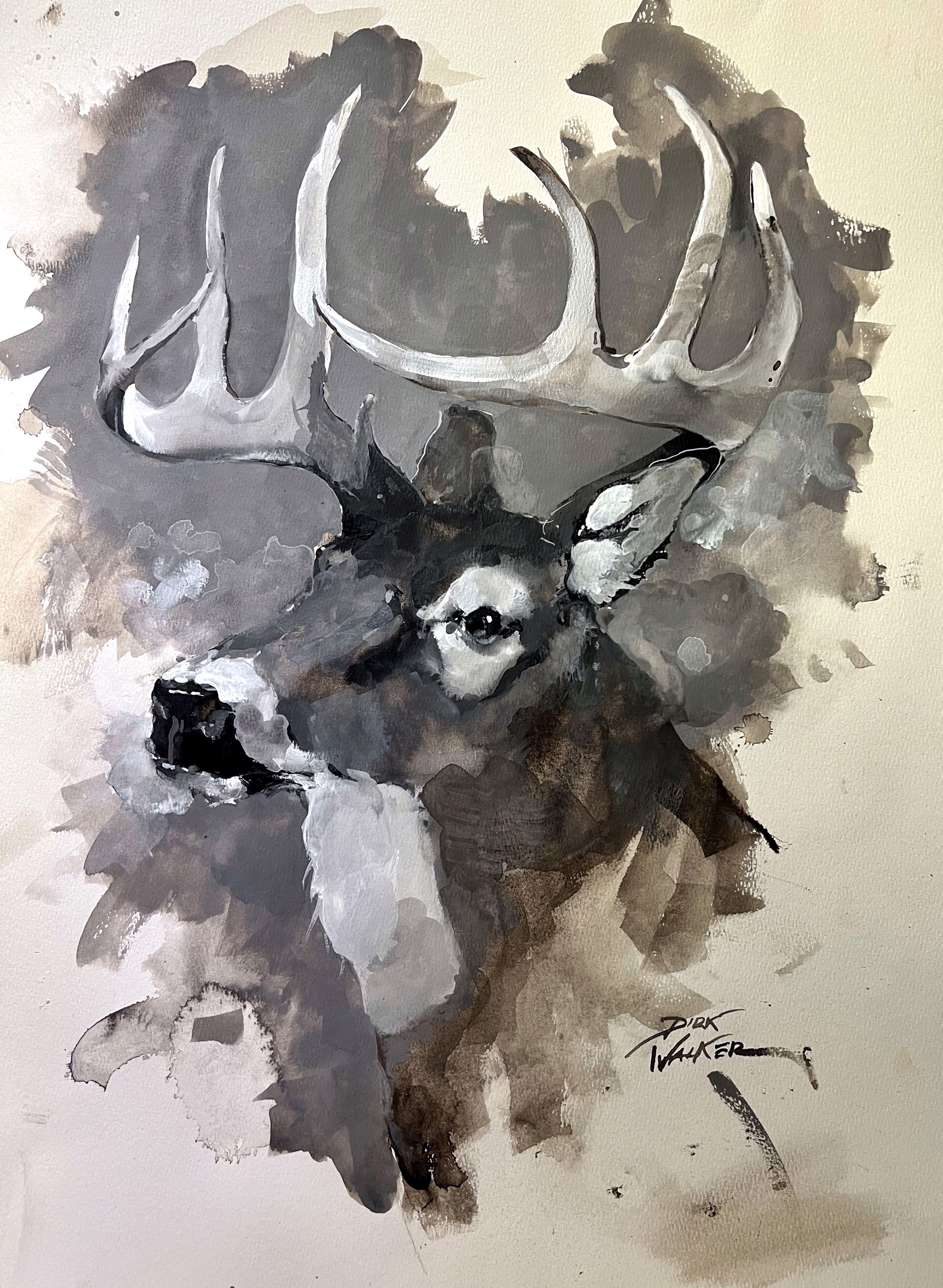 Whitetail Deer by Dirk Walker