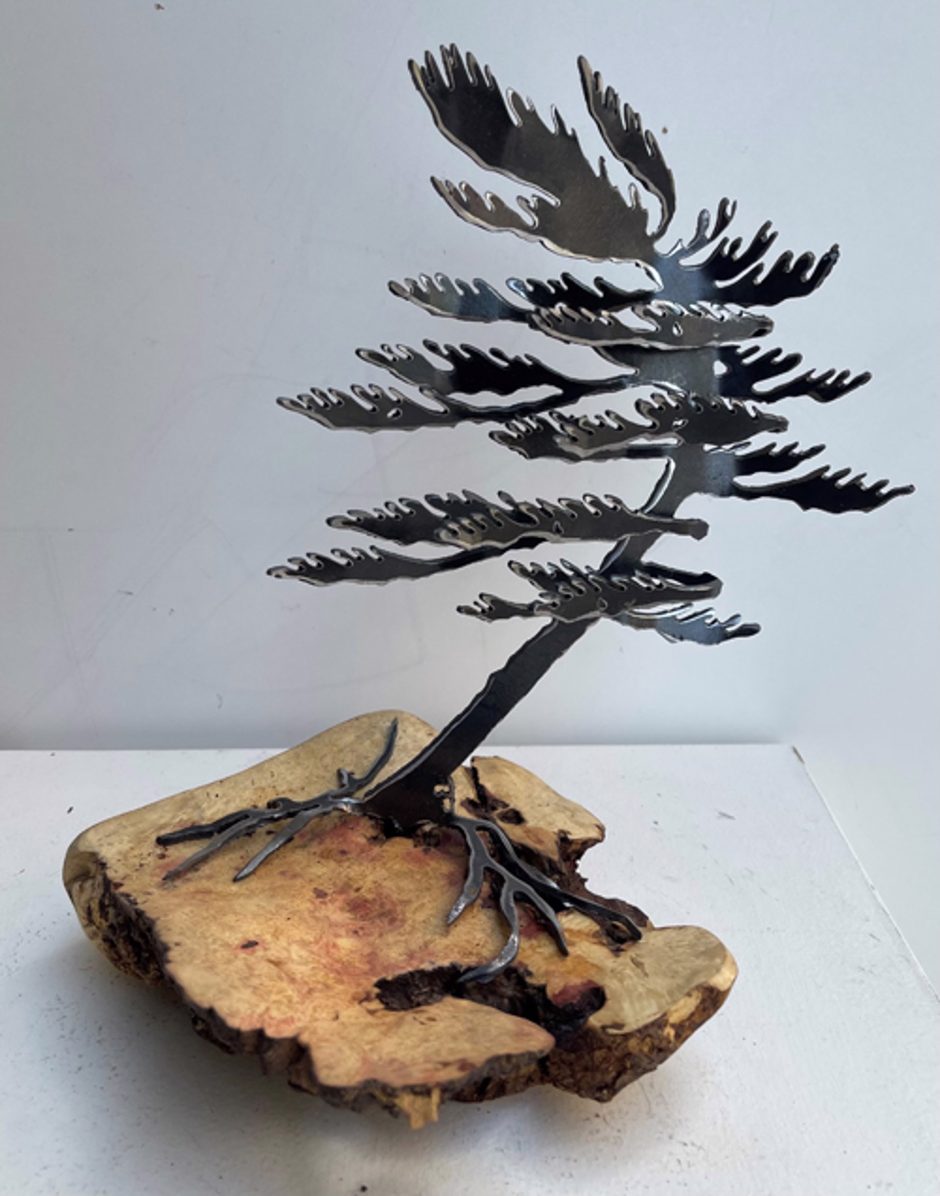 One Tree Manitoba Maple by Cathy Mark