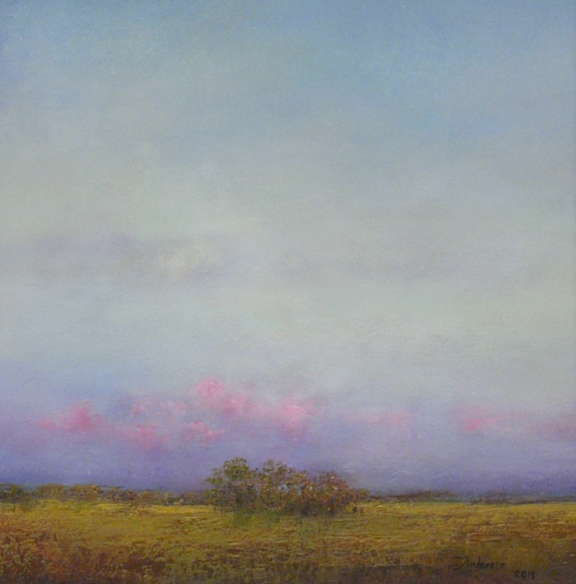 Spring Fields by John Andersen