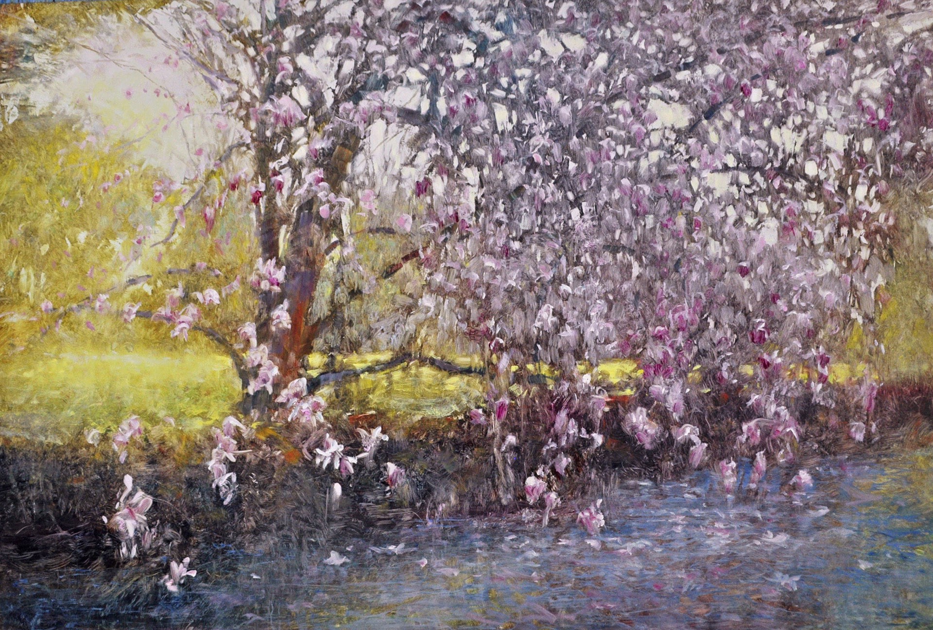 Magnolia Spring by David Dunlop
