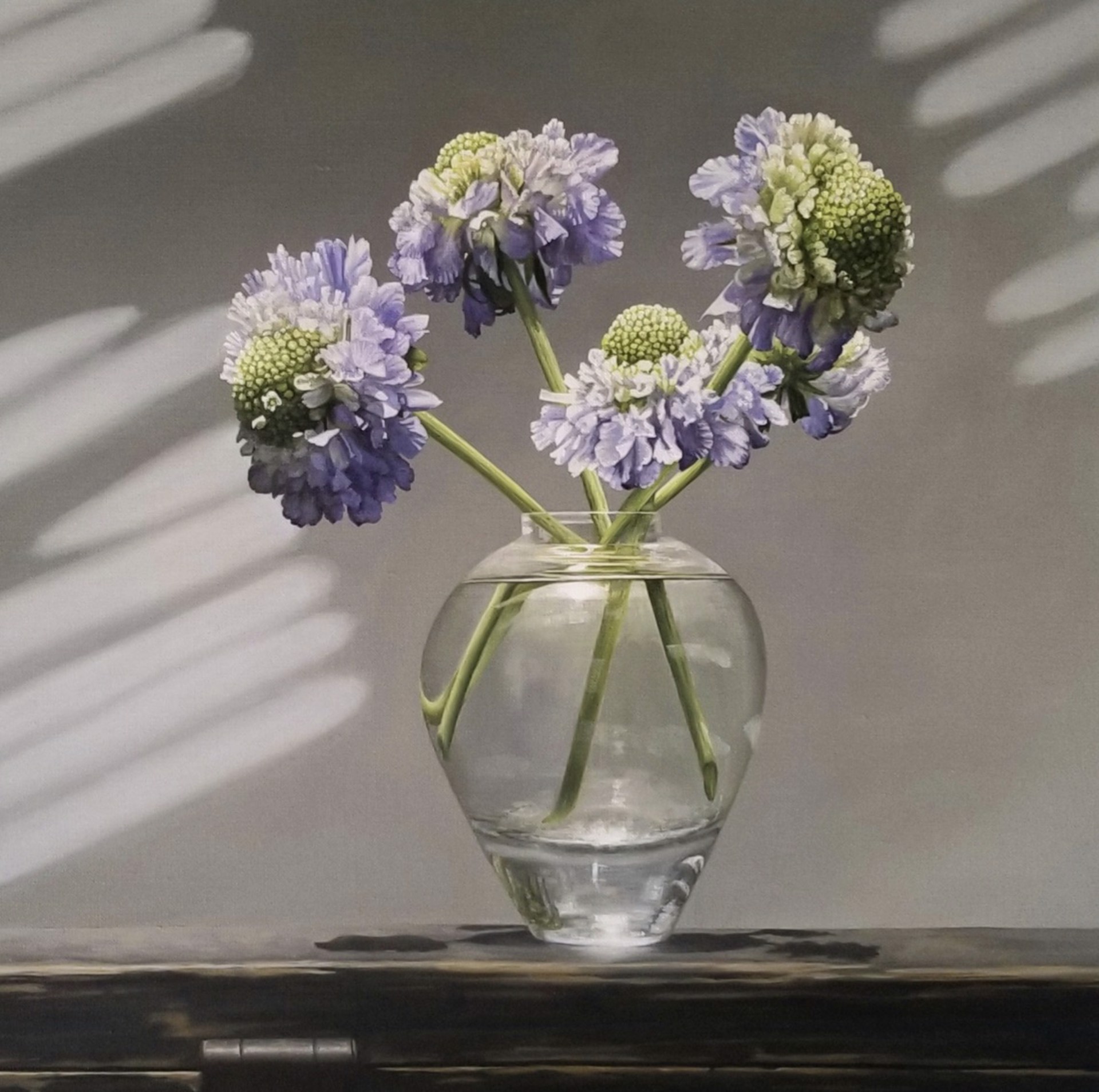 Scabiosa in Vase by Loren DiBenedetto, OPA