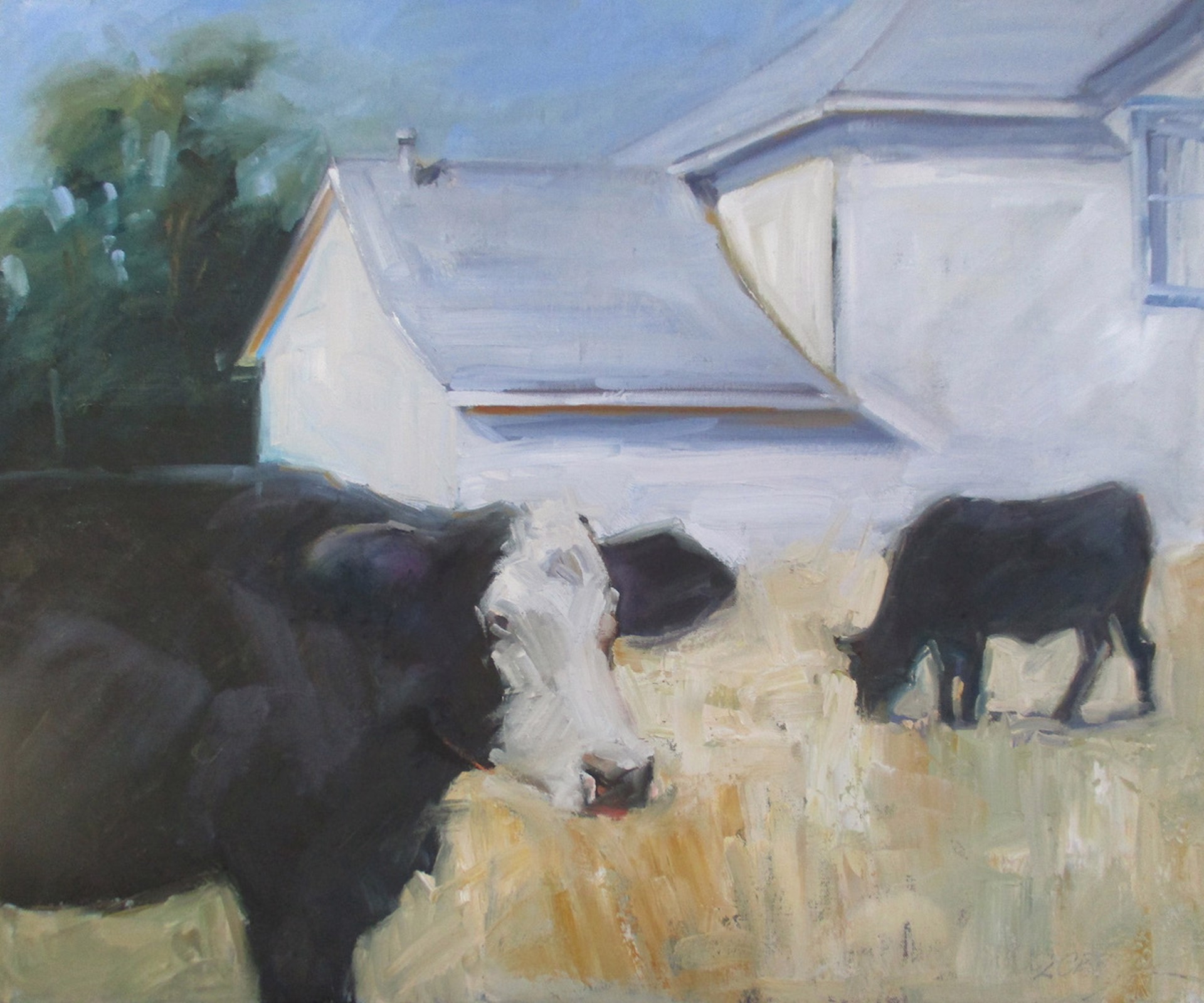 Cows In The Yard 2 by Christine Crozier