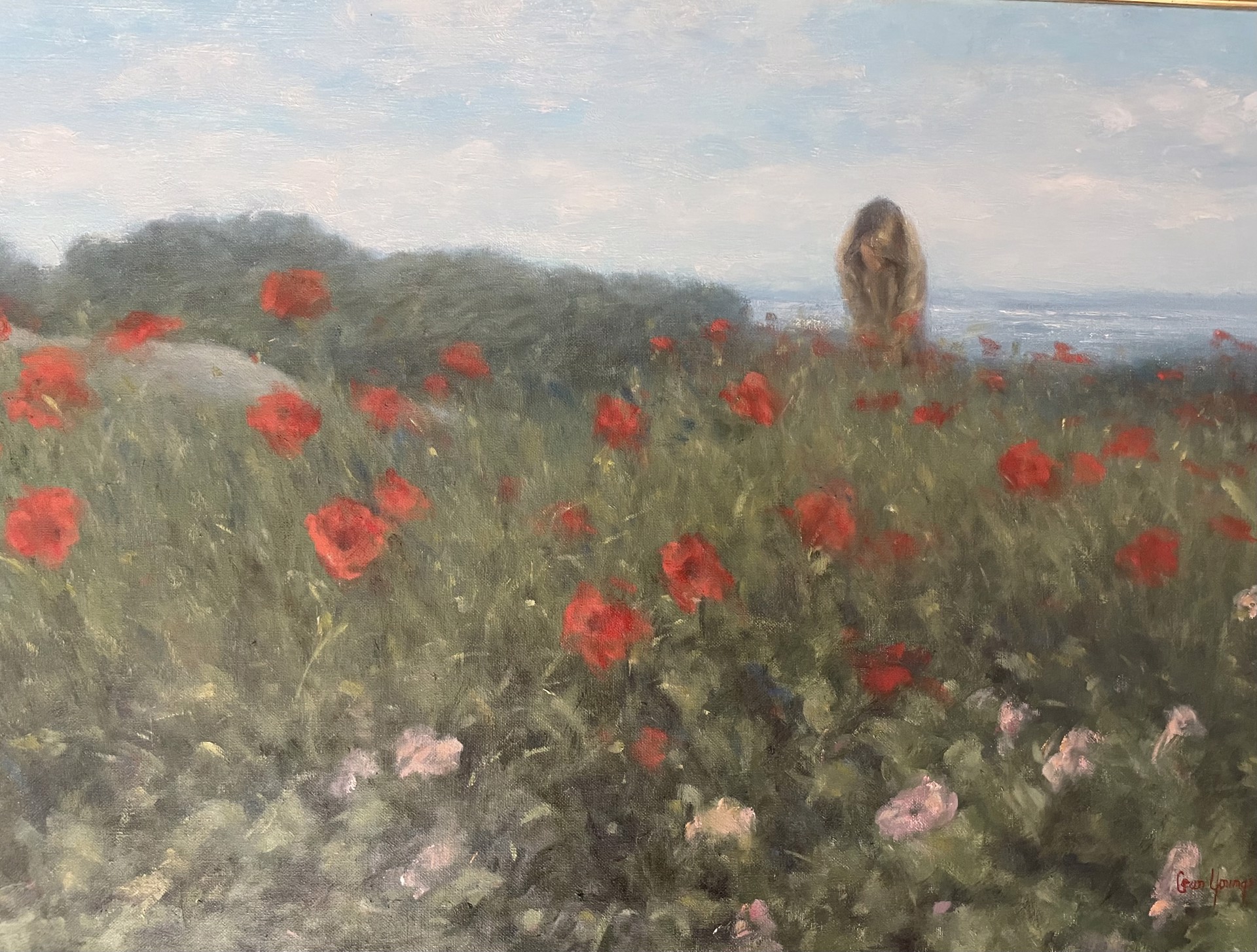 Land of the Wild Poppies by Shirley Cean Youngs