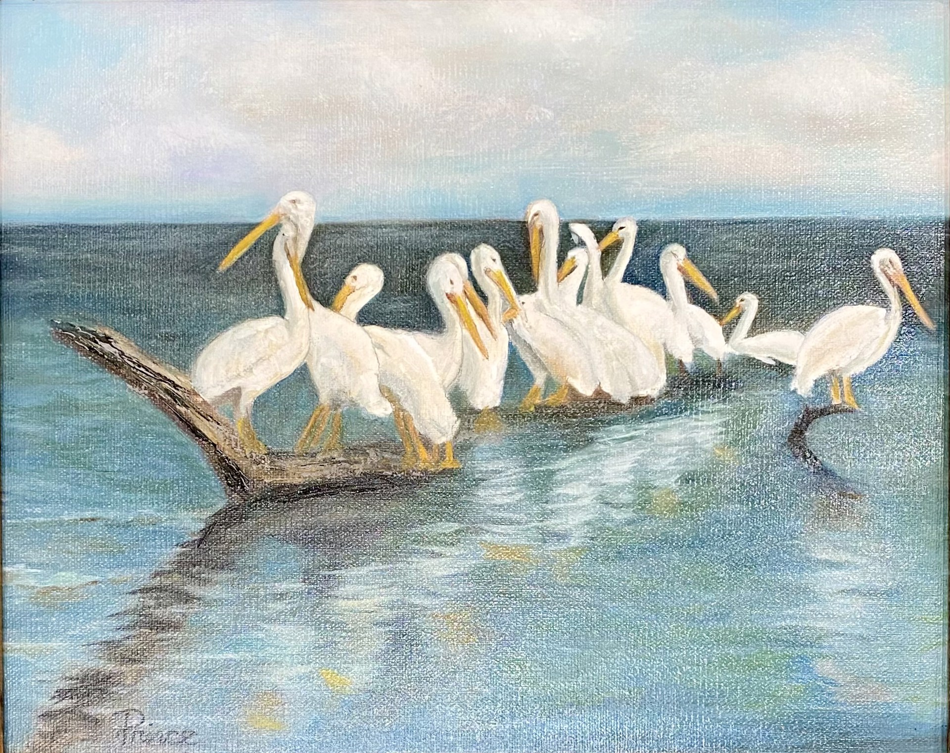 Lake Caroline Pelicans by Cindy Prince
