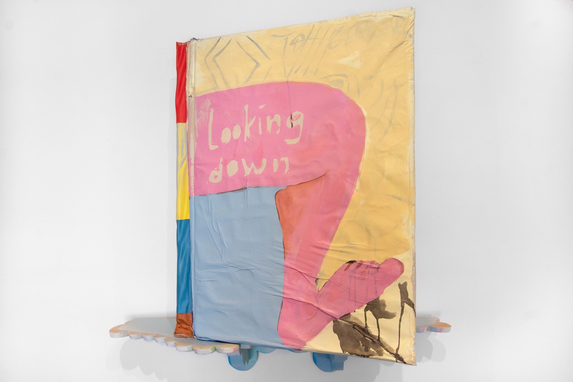 Looking Down at Heaven (Body Book) by Paul Collins