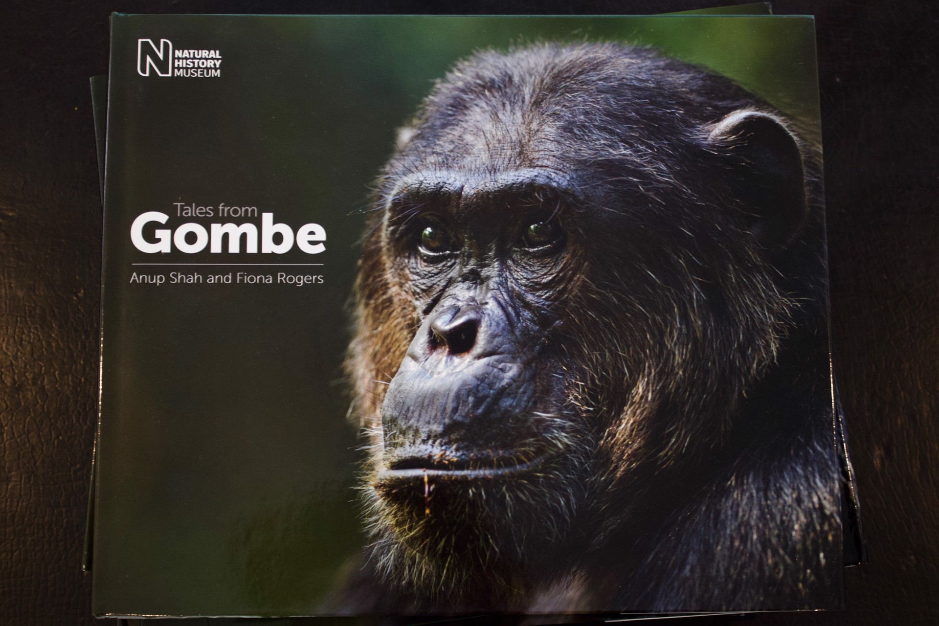 Tales from Gombe by Fiona Rogers