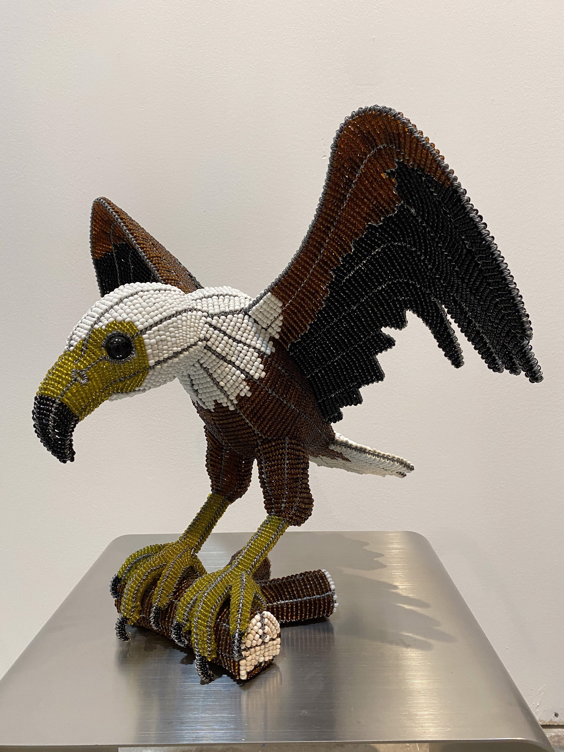 Eagle by Lulama Sihlabeni