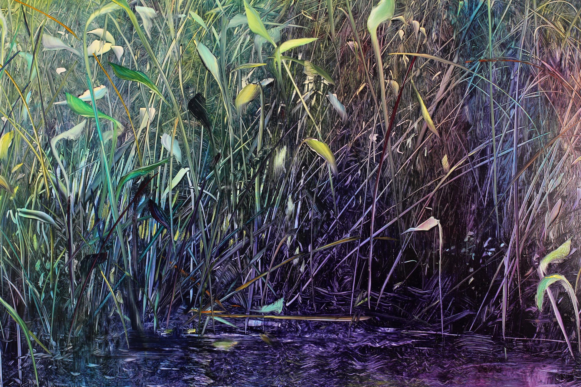 Pond Life by David Allen Dunlop