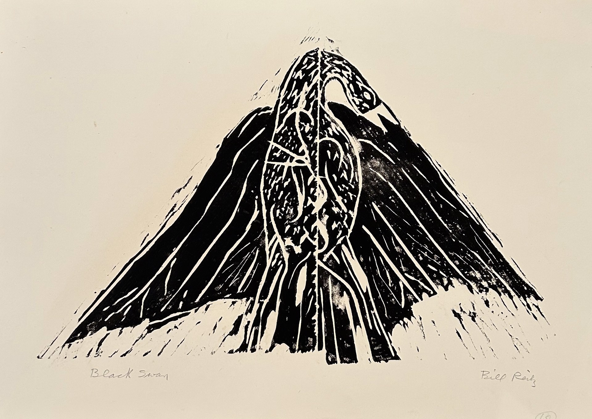 68. Black Swan (12 prints, including 1 Artist's proof) by Bill Reily Prints