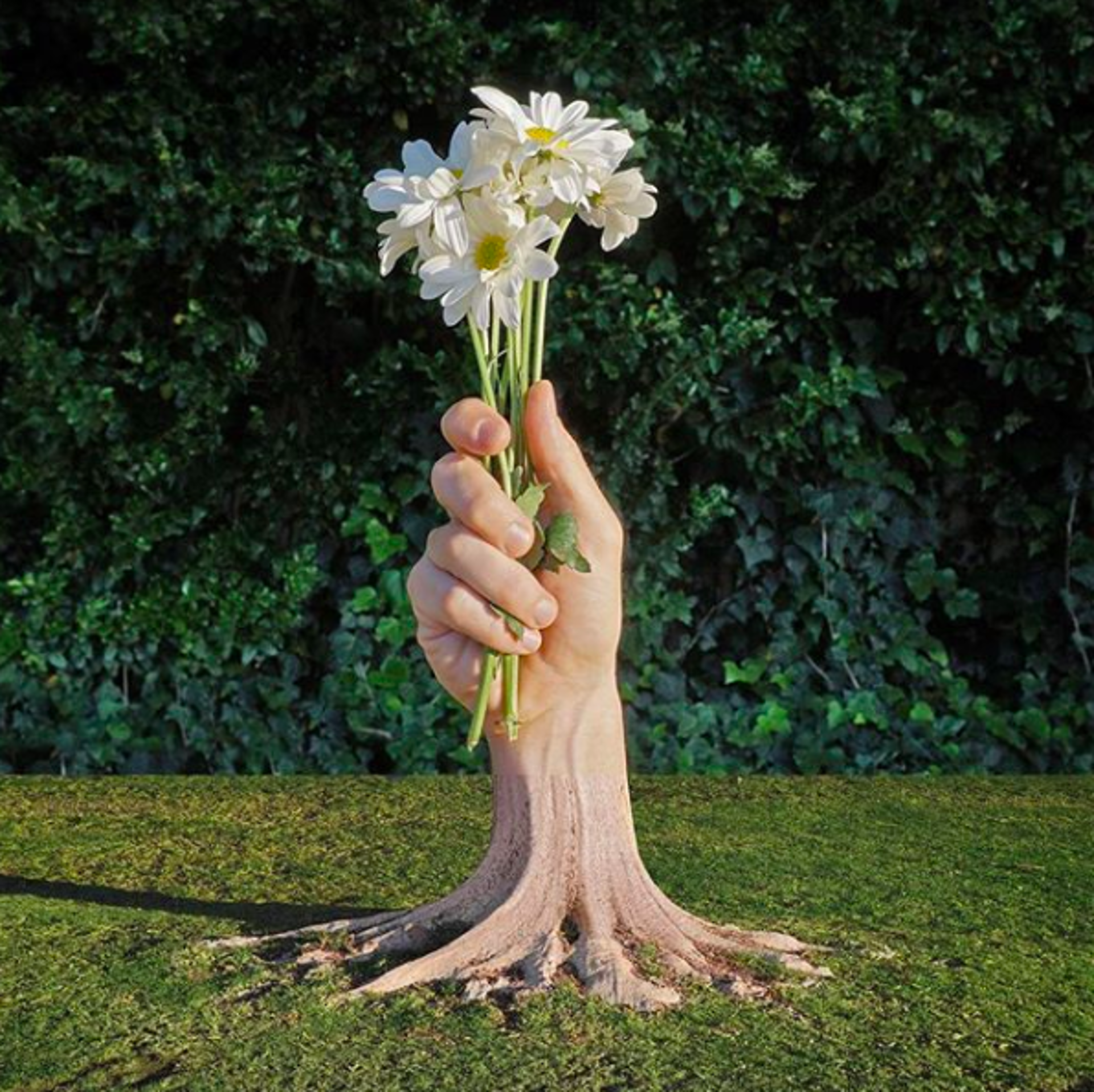 Flowers + Hand + Tree by Stephen McMennamy