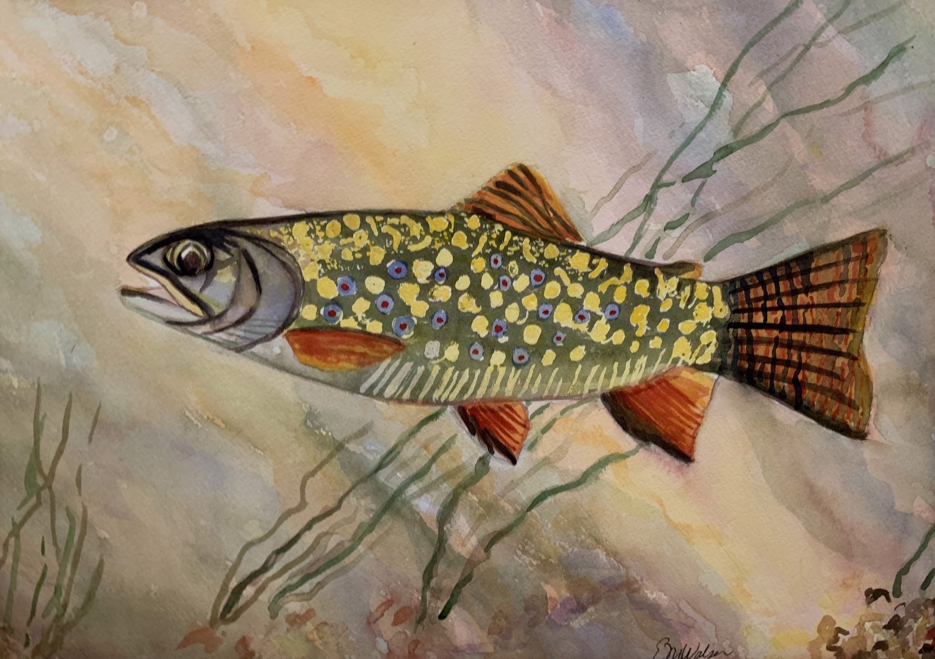 Female Brook Trout by Betty Walser