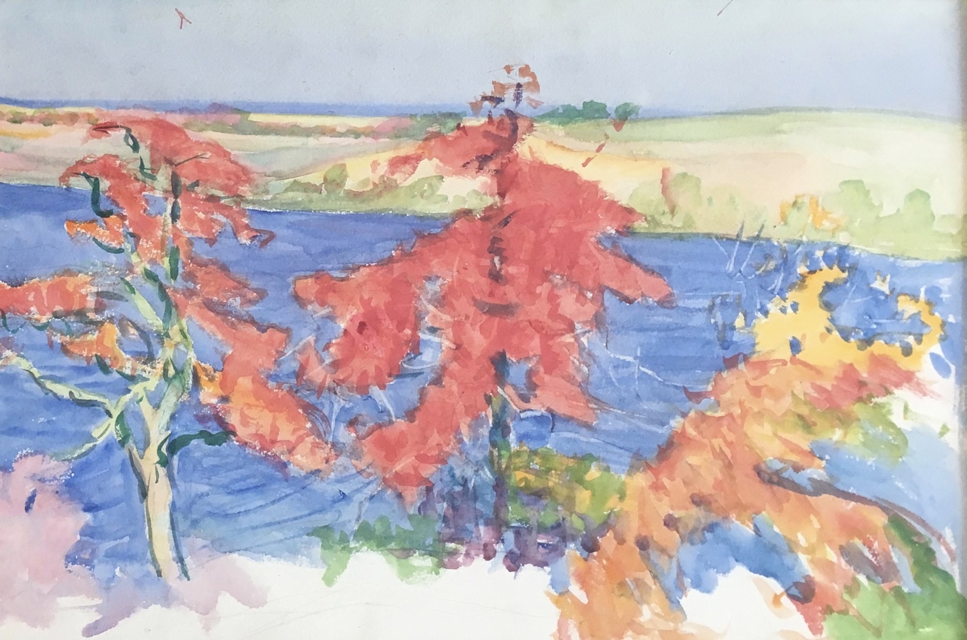 Study for The Marsh at East Sandwich by Dodge Macknight