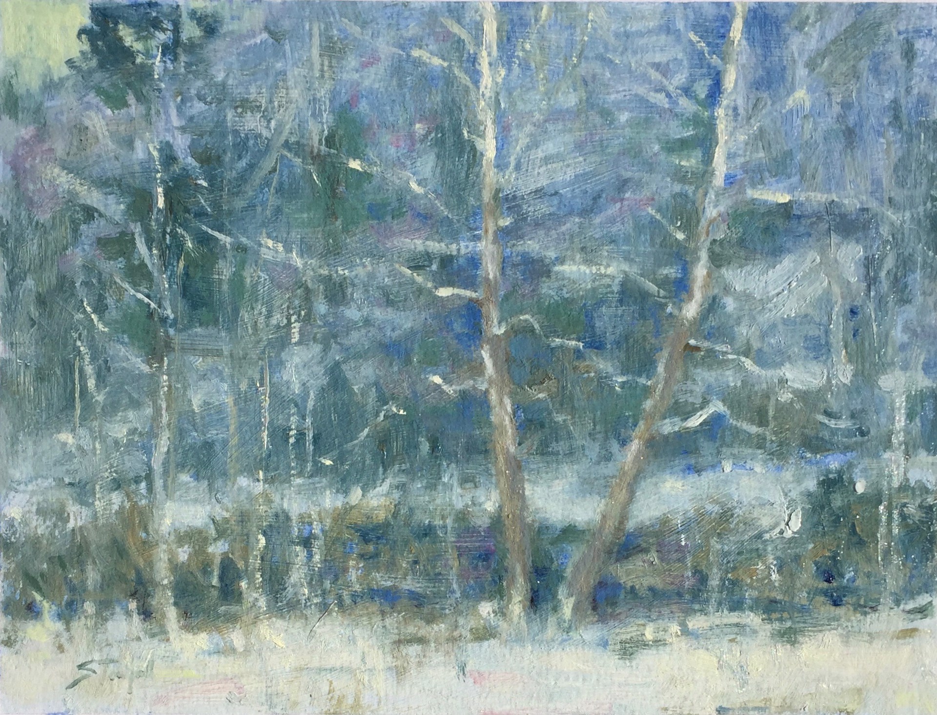 Snow V by John Stanford