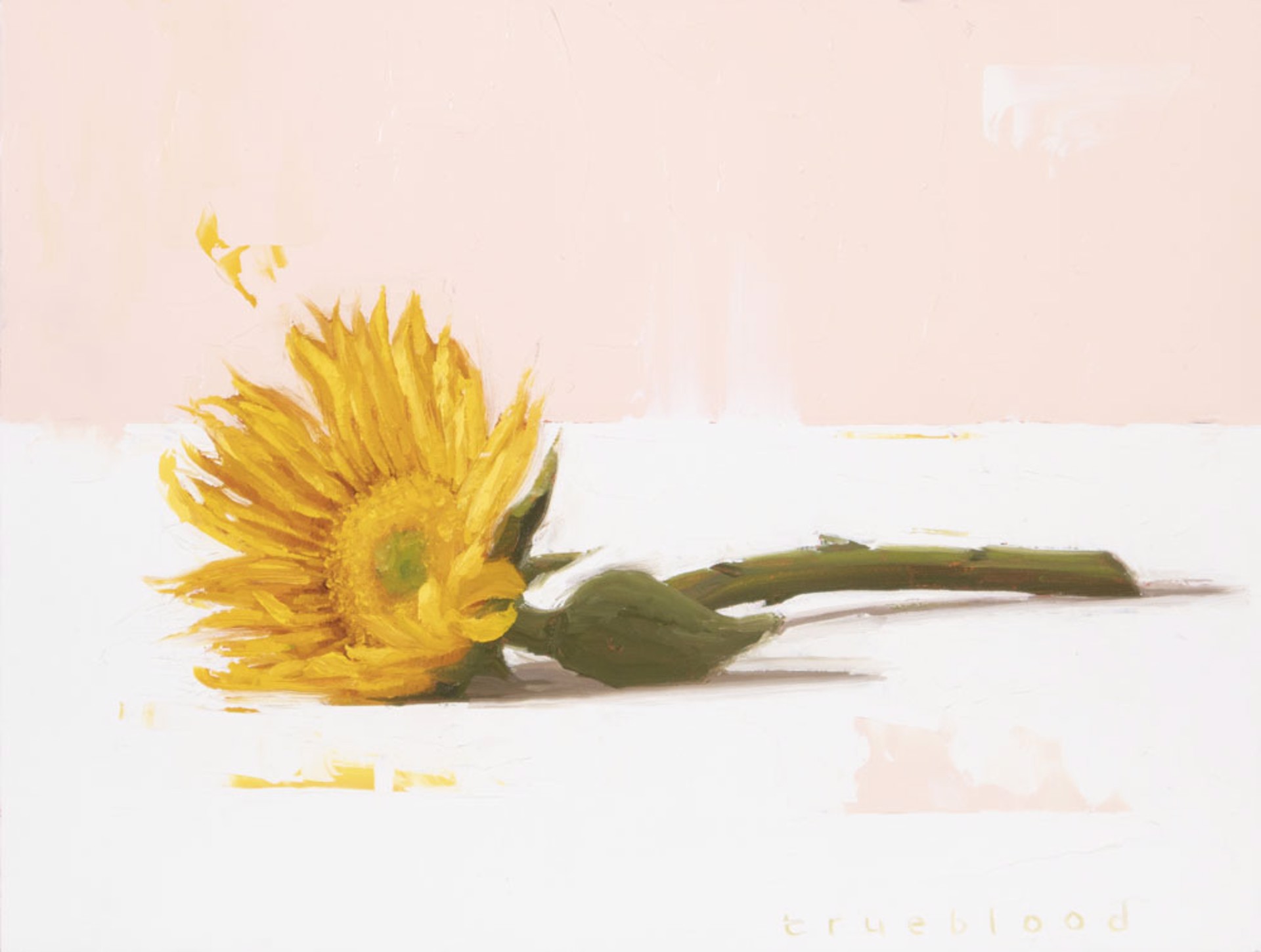 Sunflower by Megan Trueblood