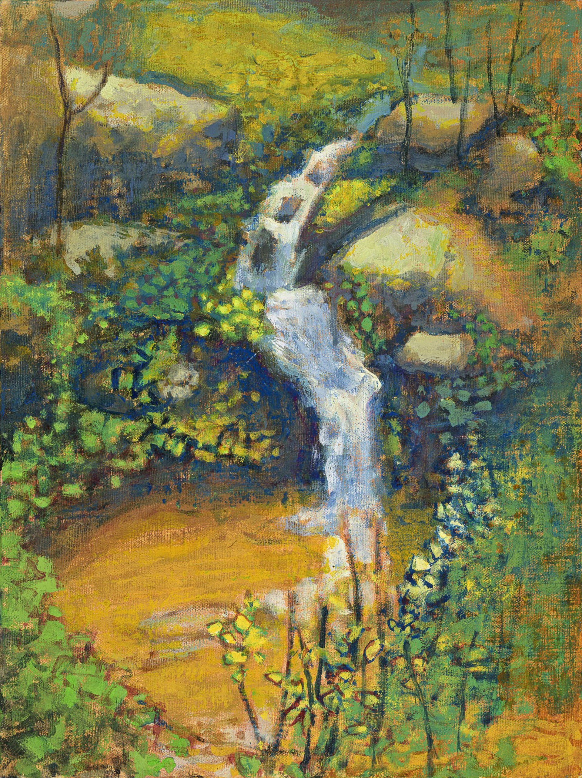 Cascading to a Pool by Rick Stevens