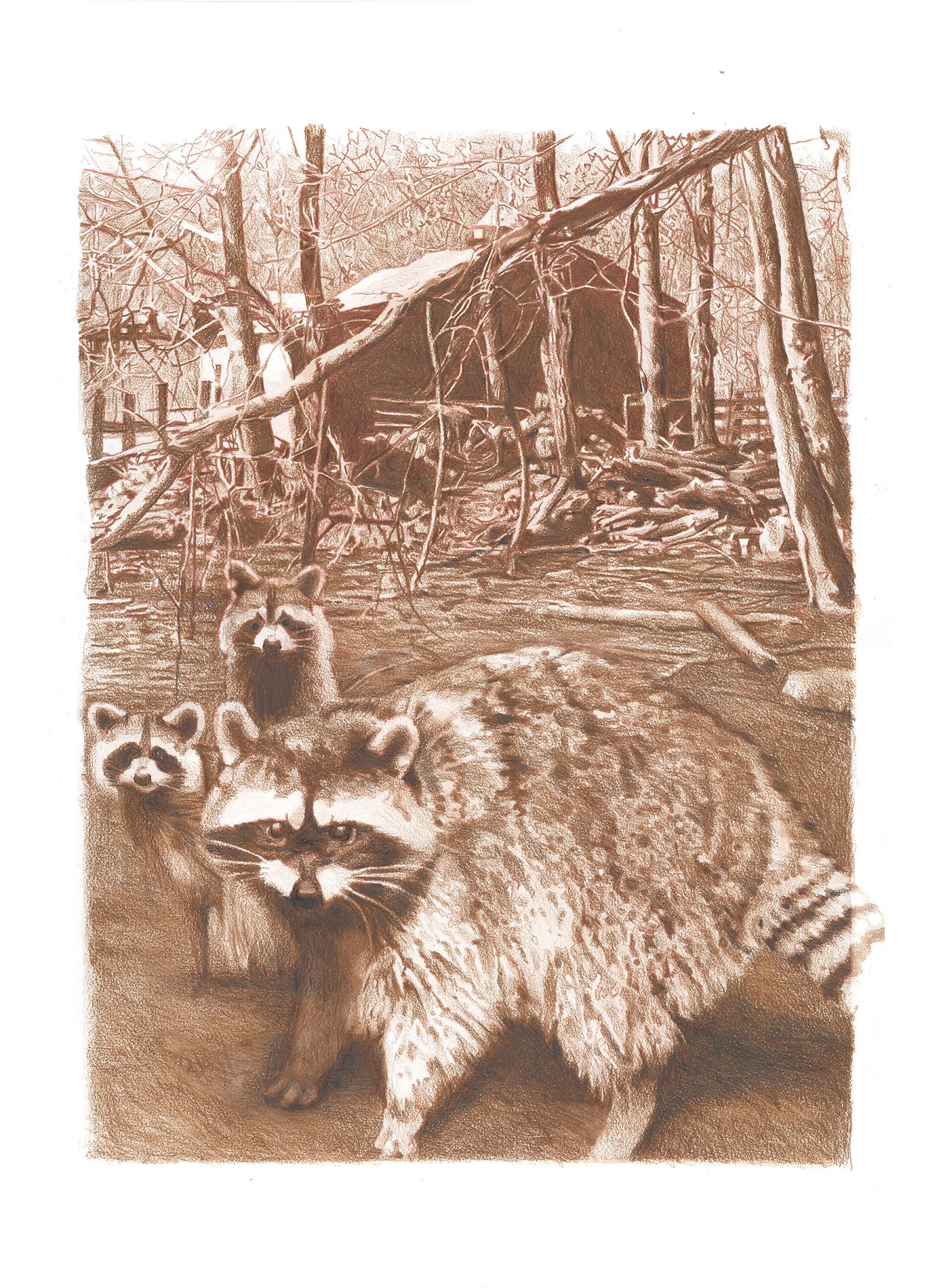 Coon Family by Mary Snowden