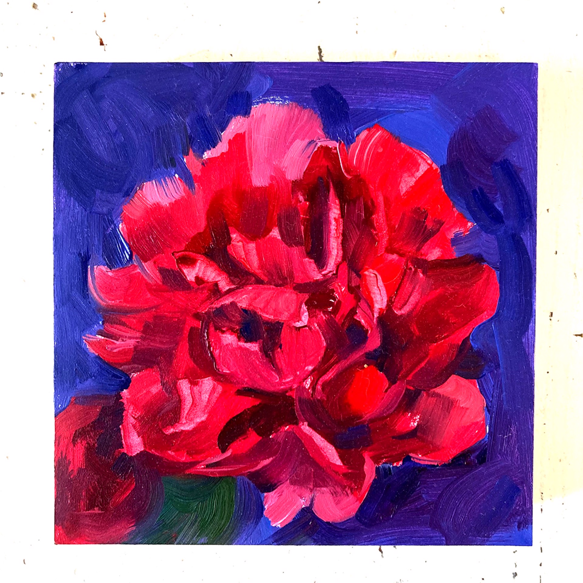 Peony Project #10 by Amy R. Peterson*
