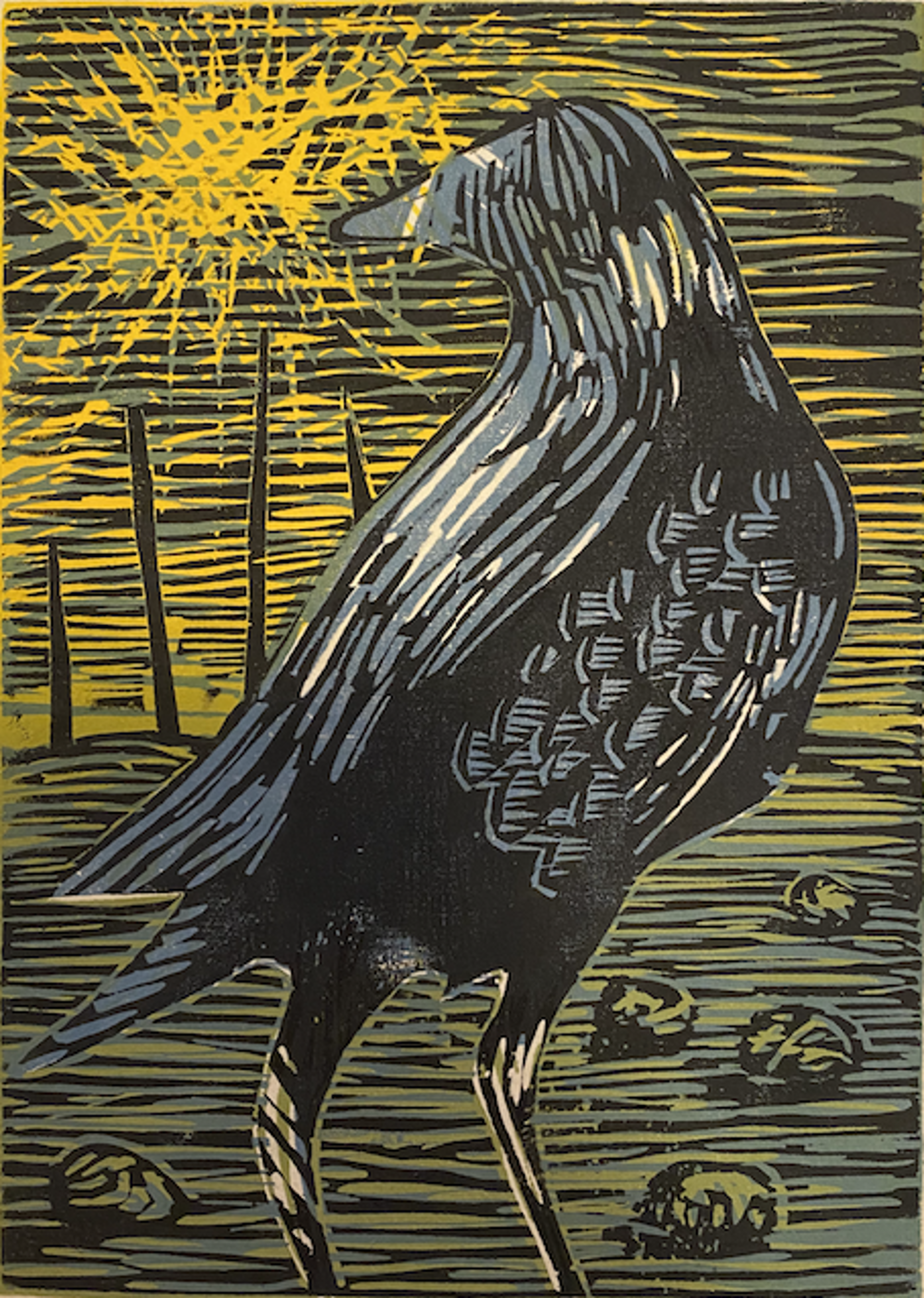Night Crow by Steven Chapp
