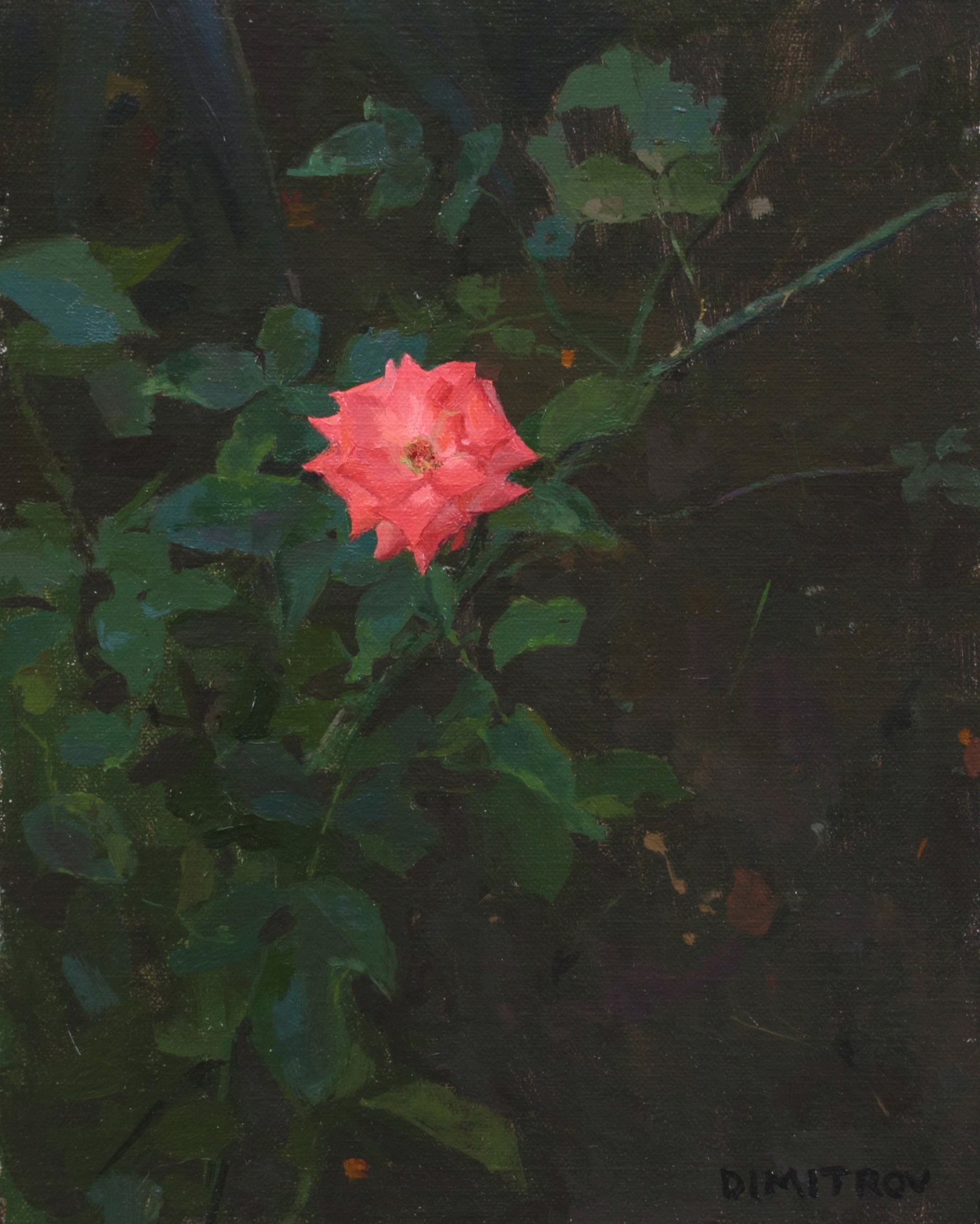 The Forgotten Rose by Martin Dimitrov