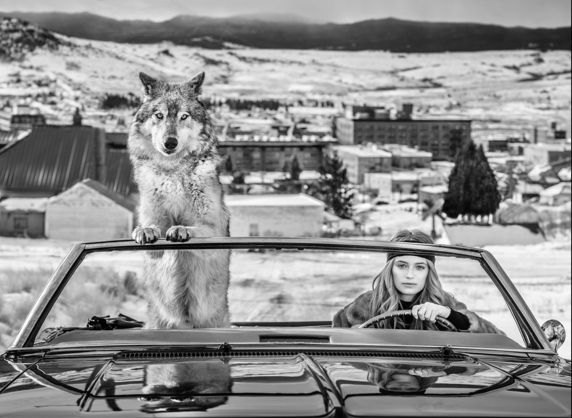 Bonnie and Clyde by David Yarrow