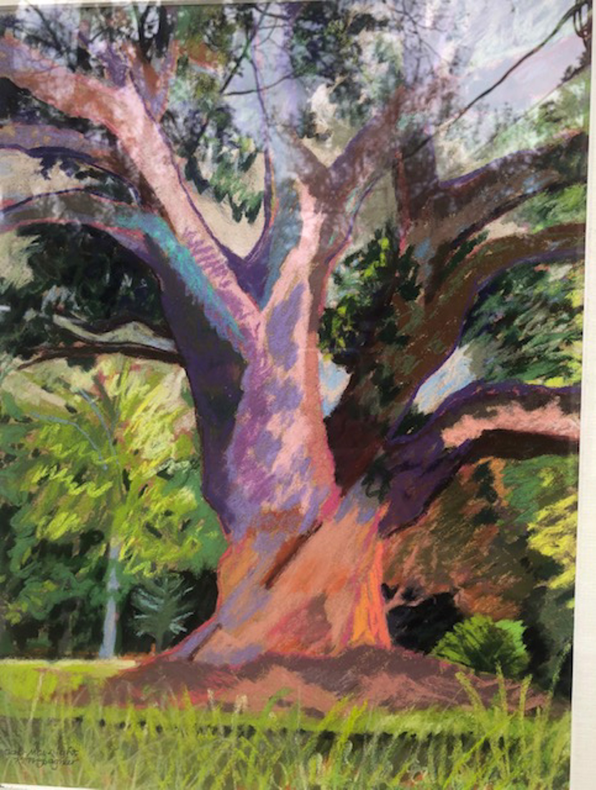 Oak, May Light by Kate Trepagnier