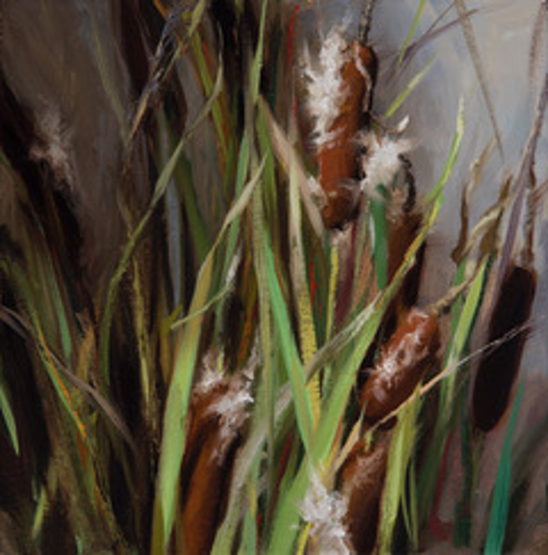 Cattails by GRACE DeVITO