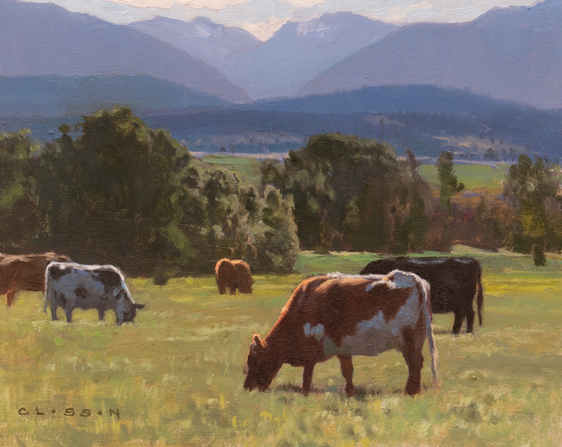 Irrigated Pastures by Nate Closson