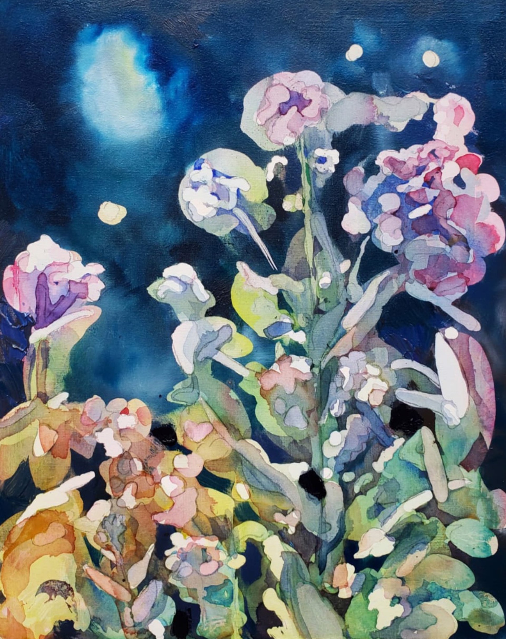 Night Flowers by Laura Madera