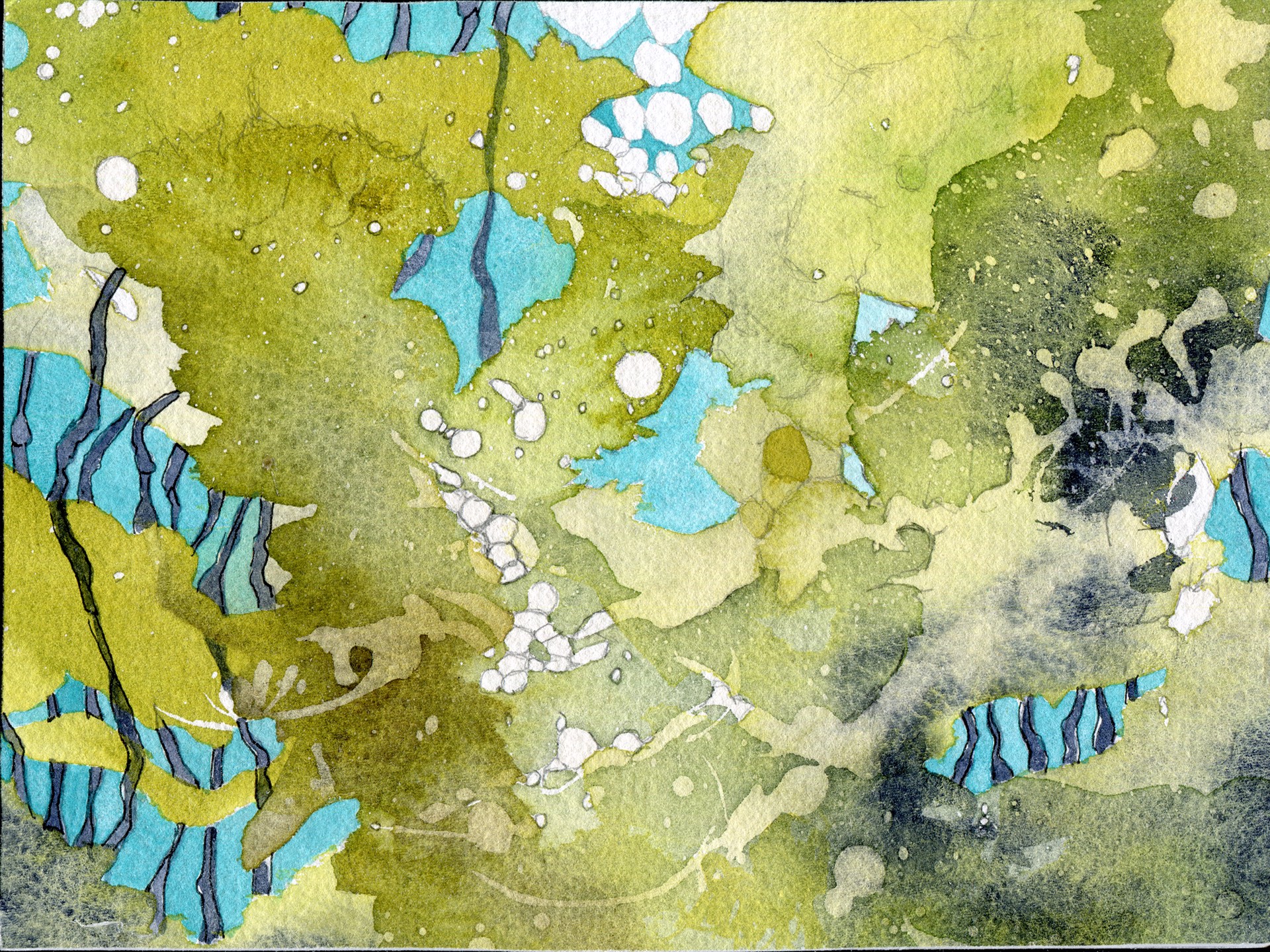 Excerpt: In The Woods With Aqua by Sondra Dorn