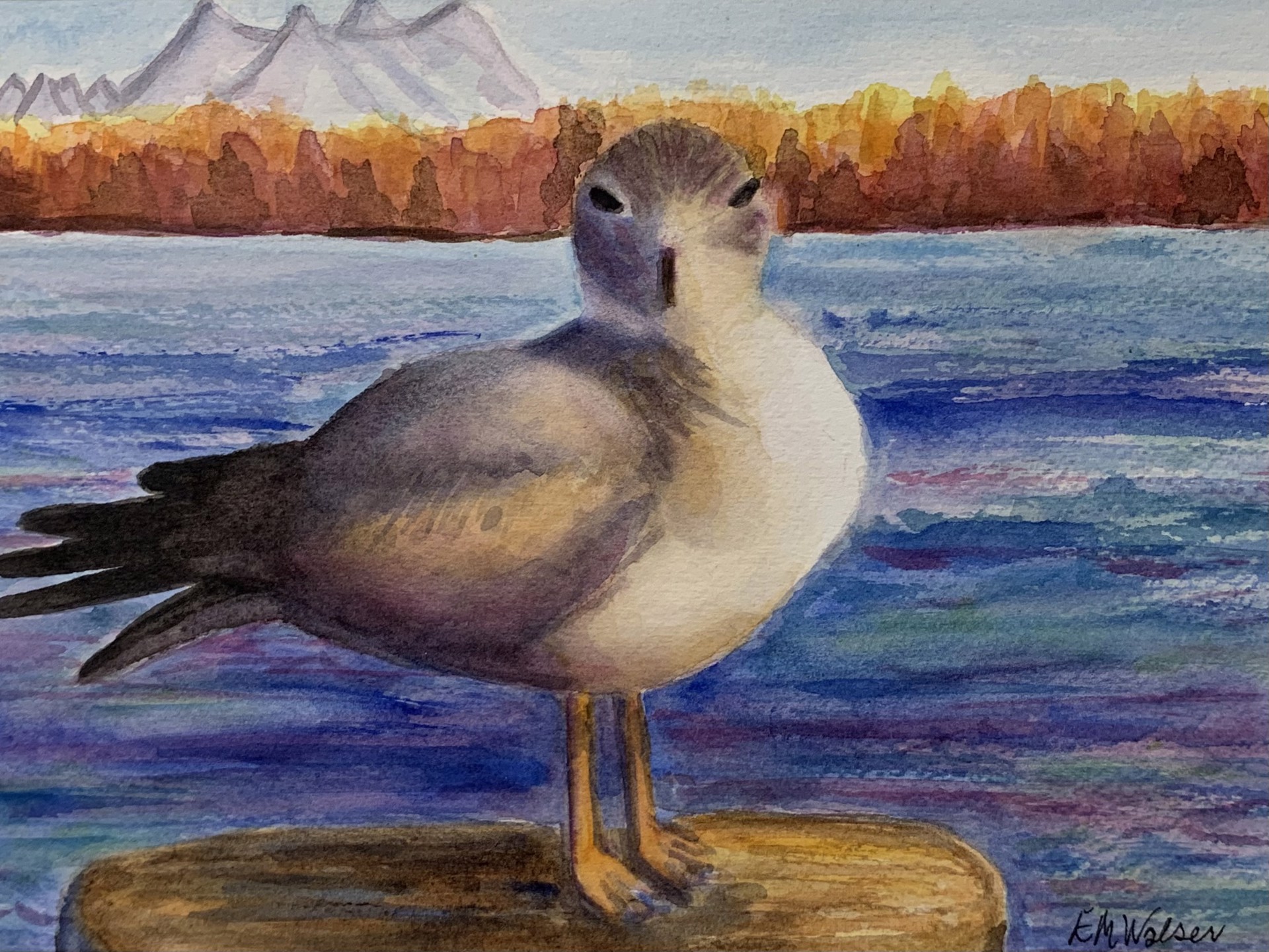 Potomac Seagull by Betty Walser