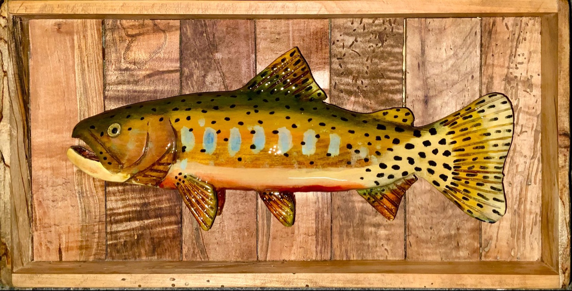 Colorada River Cutthroat Trout by Bernard Edwards