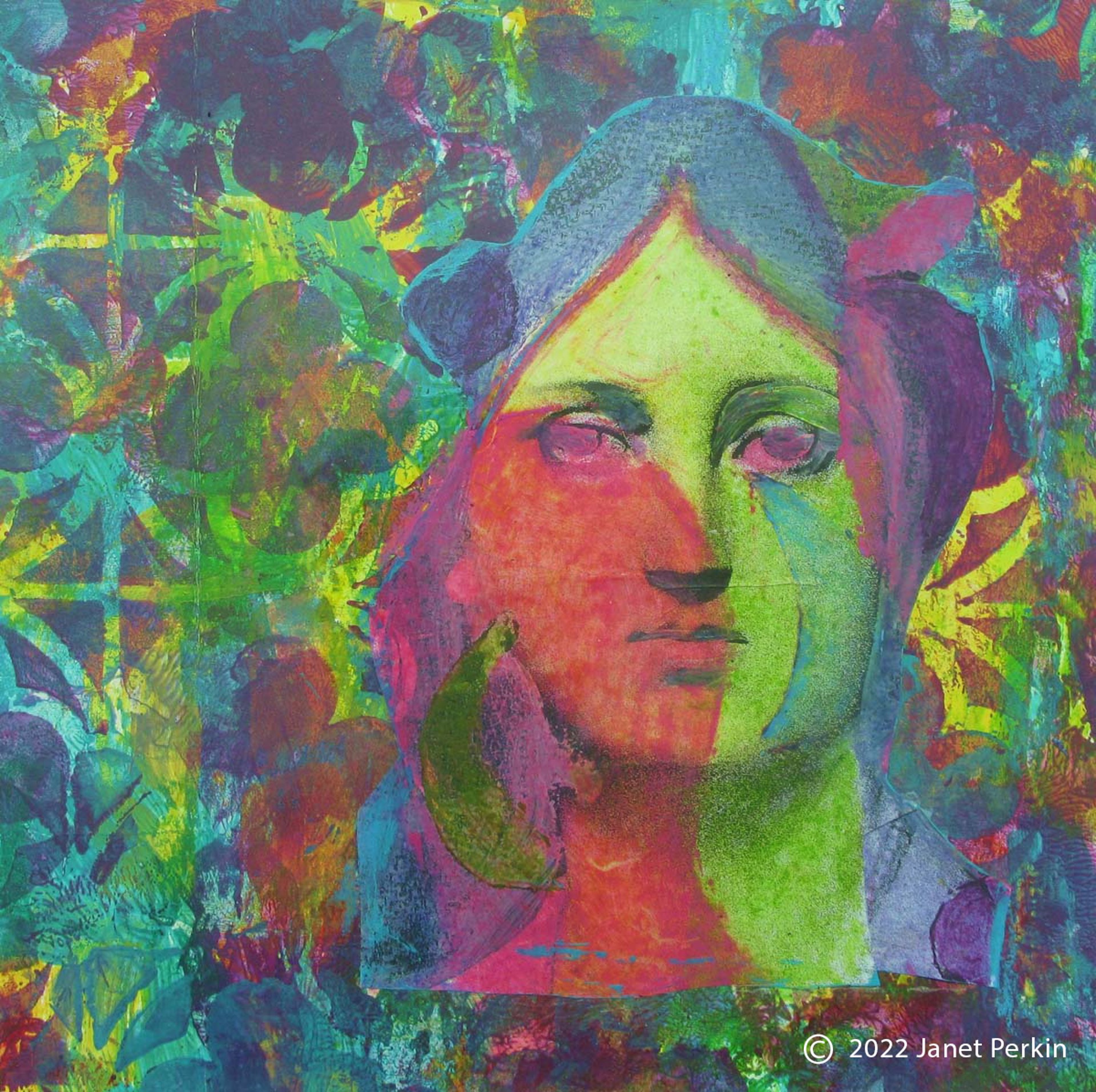 Looking for Liberty by Janet Perkin