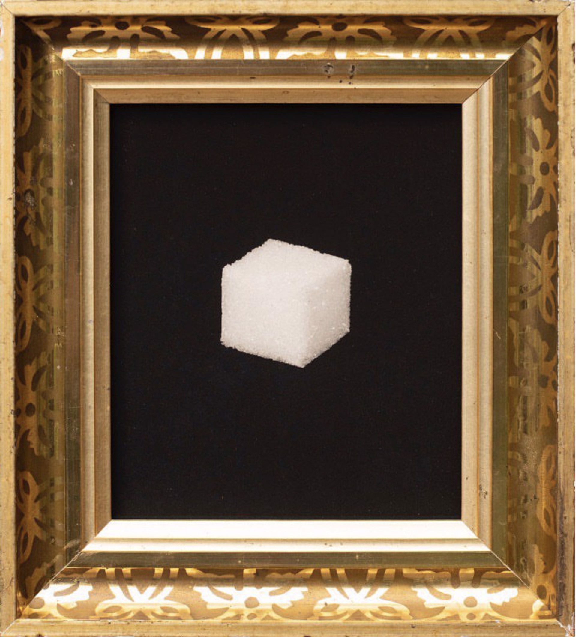 Sugar Cube by Jefferson Hayman